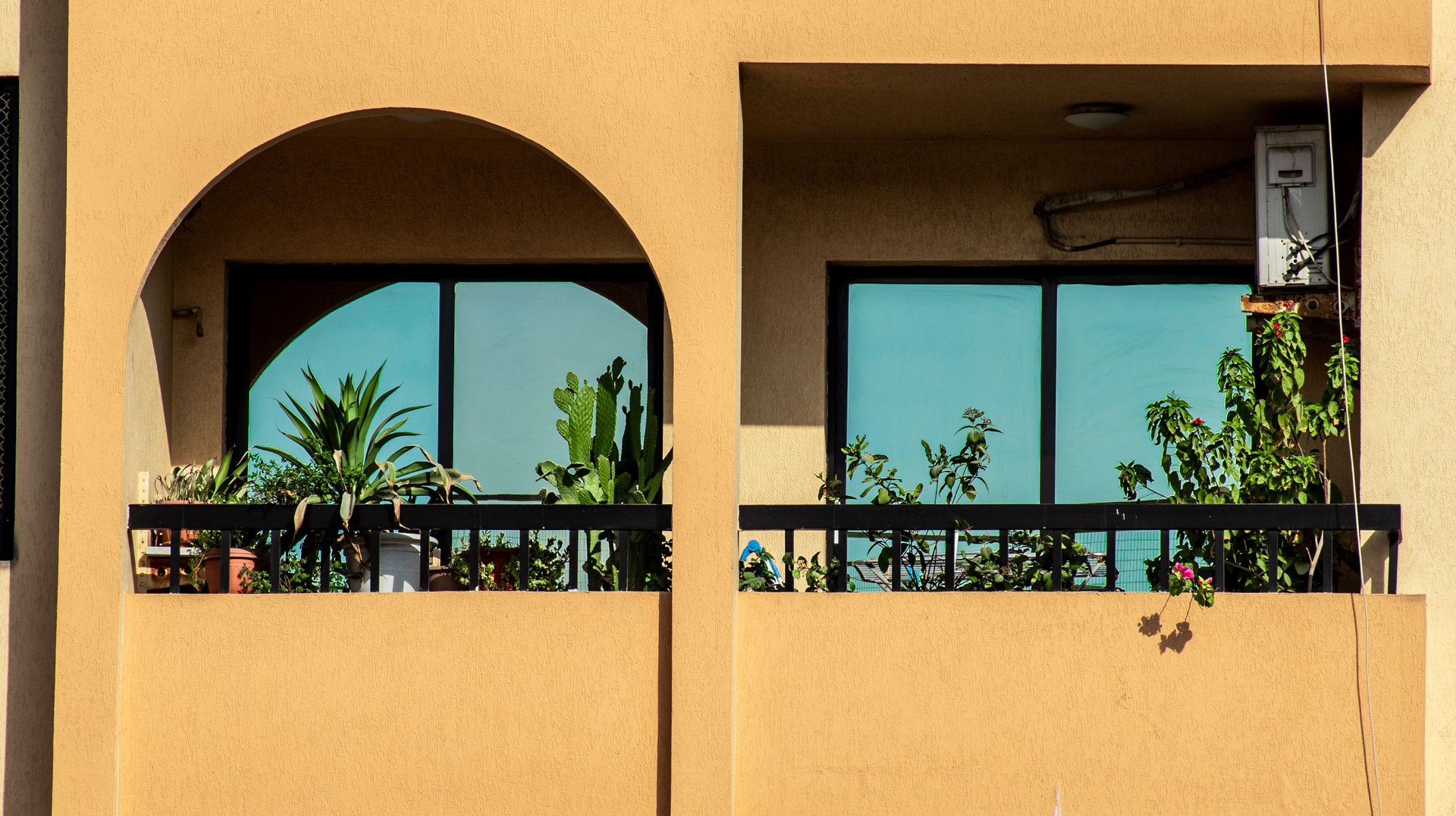 Contemporary Urban Apartment with Balconies, Potted Plants, and a Clear Blue Sky Backdrop.