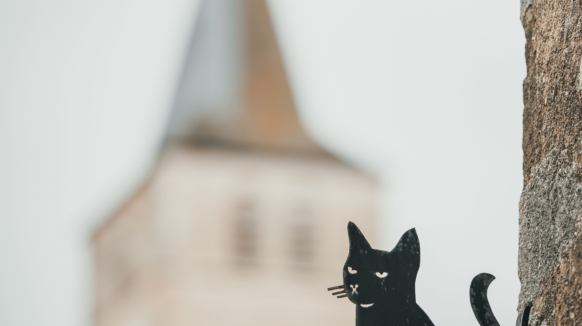Artistic Photograph of a Black Cat Sign with Blurred Background in Montmorillon, France.