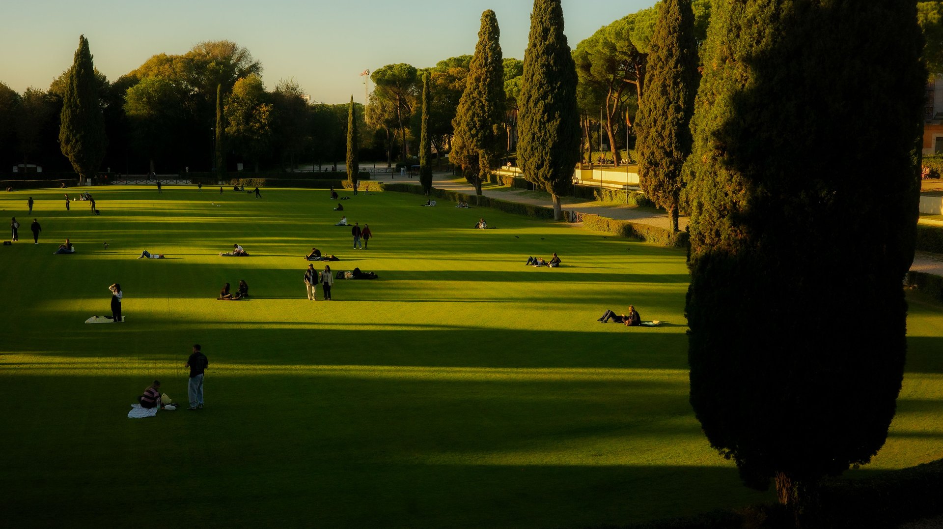 People Relaxing in a Lazio Park During a Tranquil Evening, Surrounded by Green Trees and Cypress.