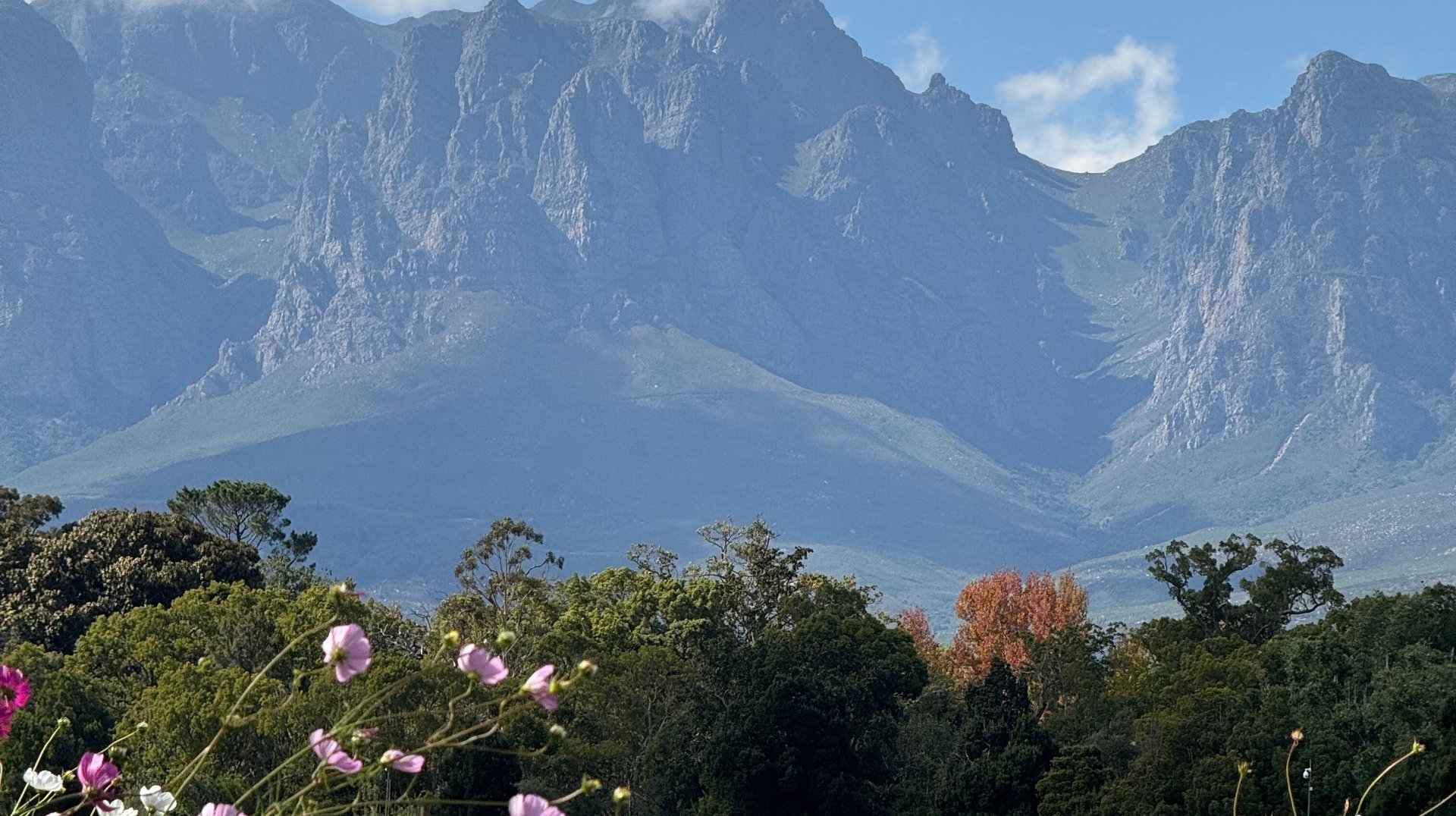 Scenic View of a Mountain Range with Blooming Pink Wildflowers Beneath a Blue Sky.