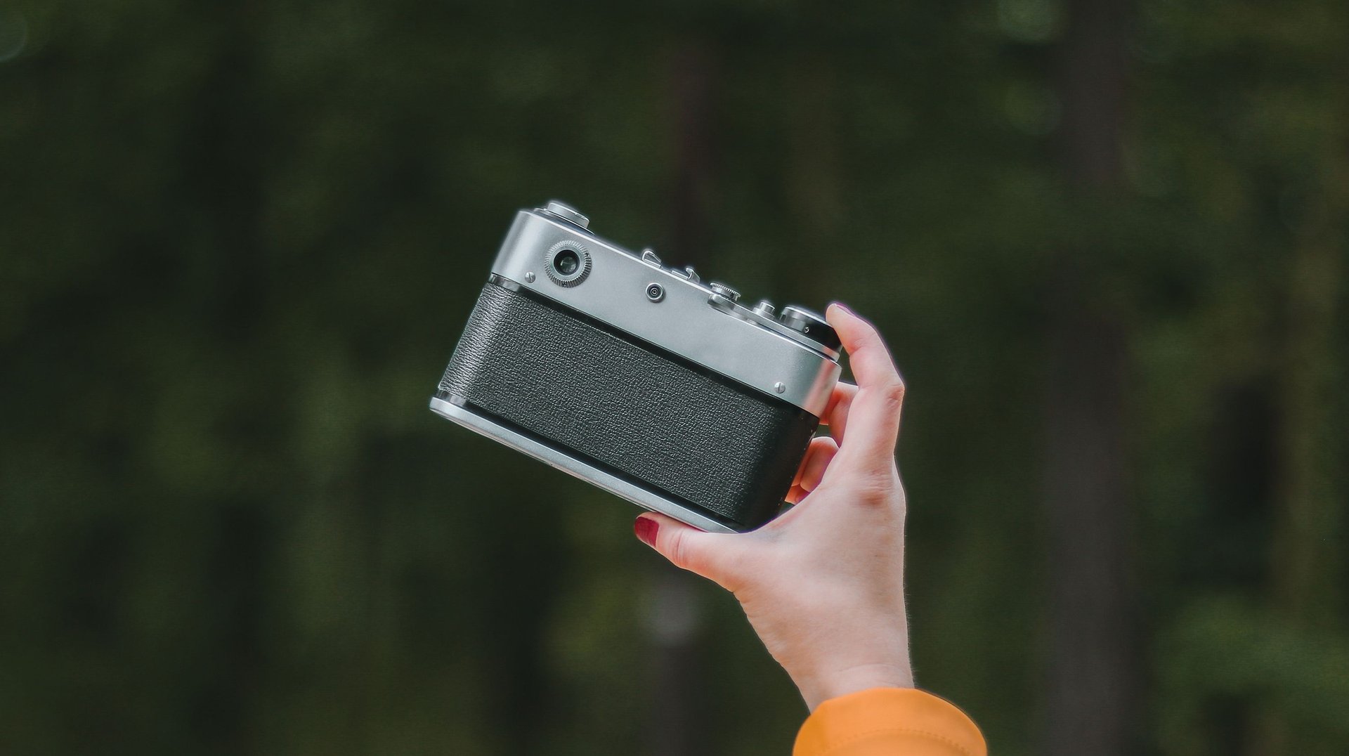 a Person Holds a Vintage Camera Outdoors in a Peaceful Forest Setting.