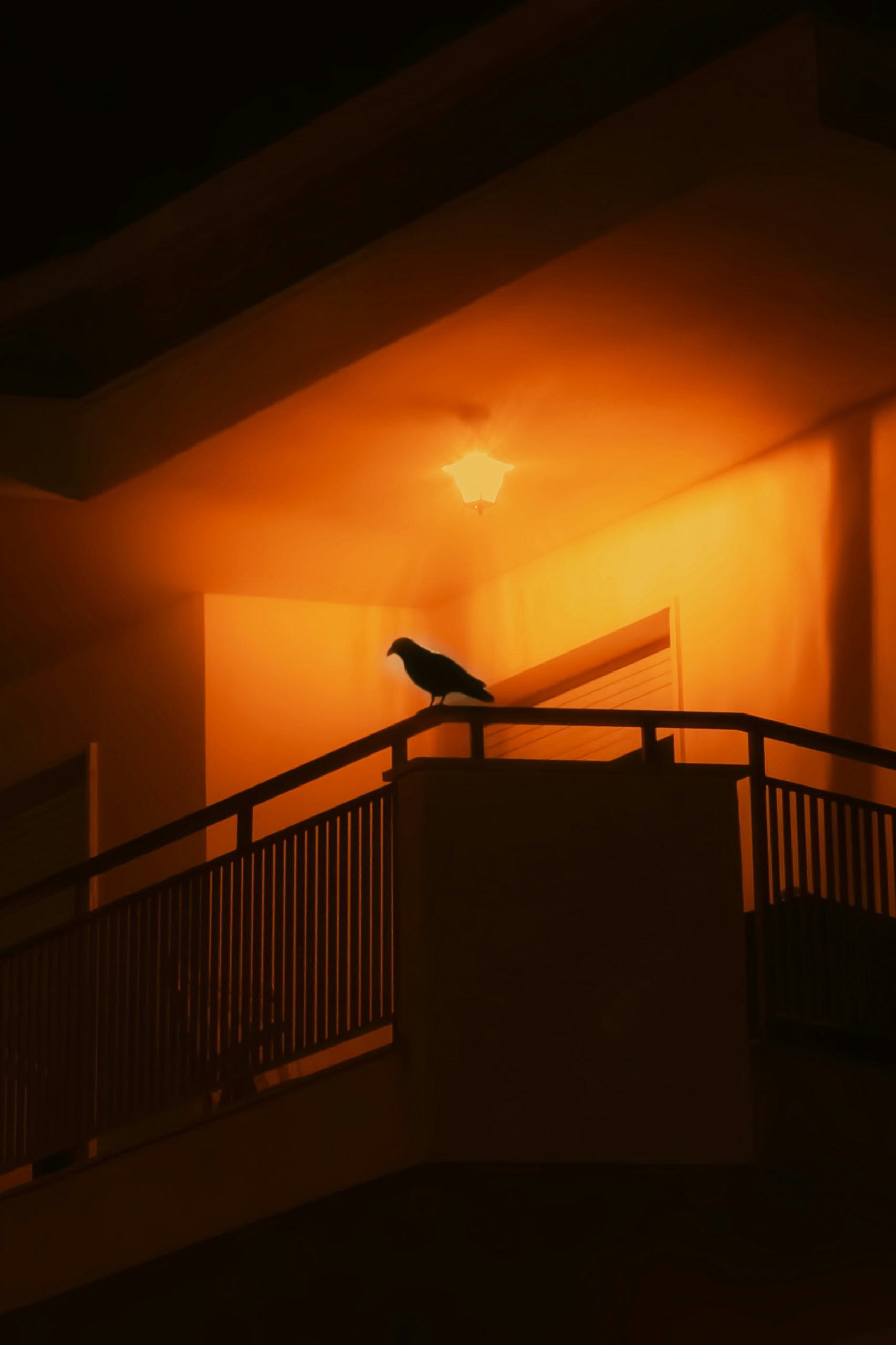 A bird sitting on top of a balcony at night