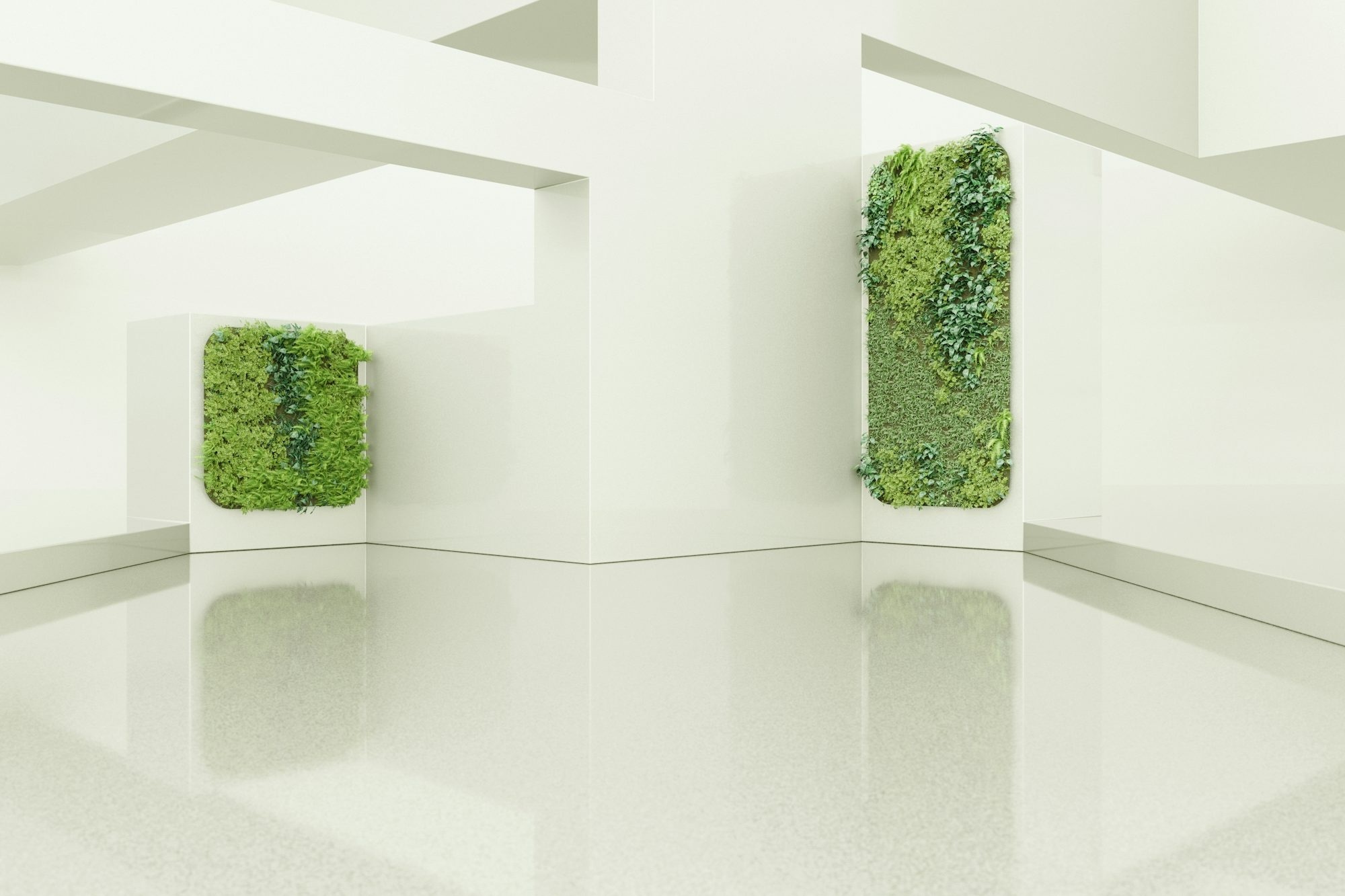 A White Room With A Green Plant In The Center