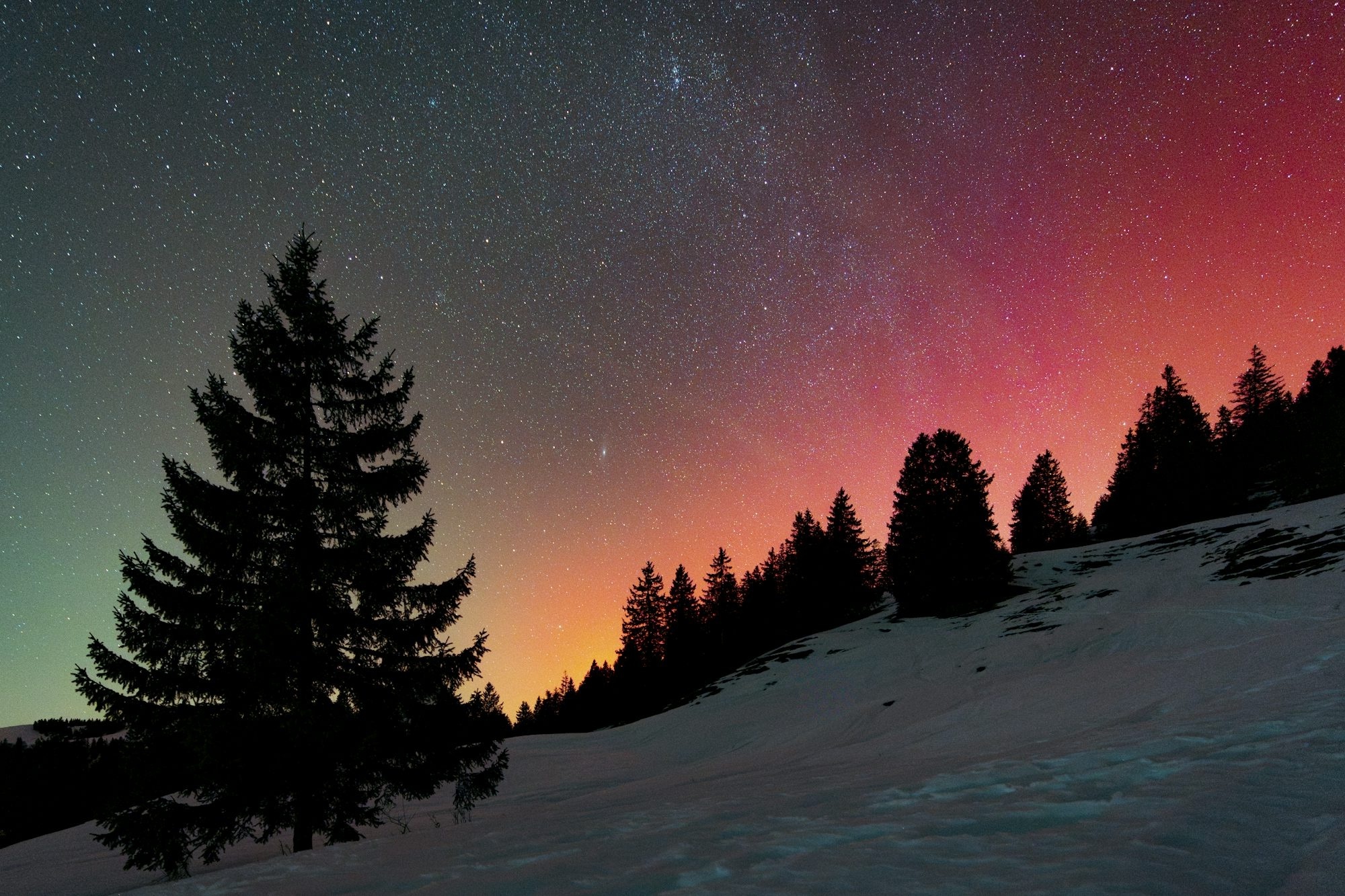 Silhouette Trees Against A Colorful Night Sky