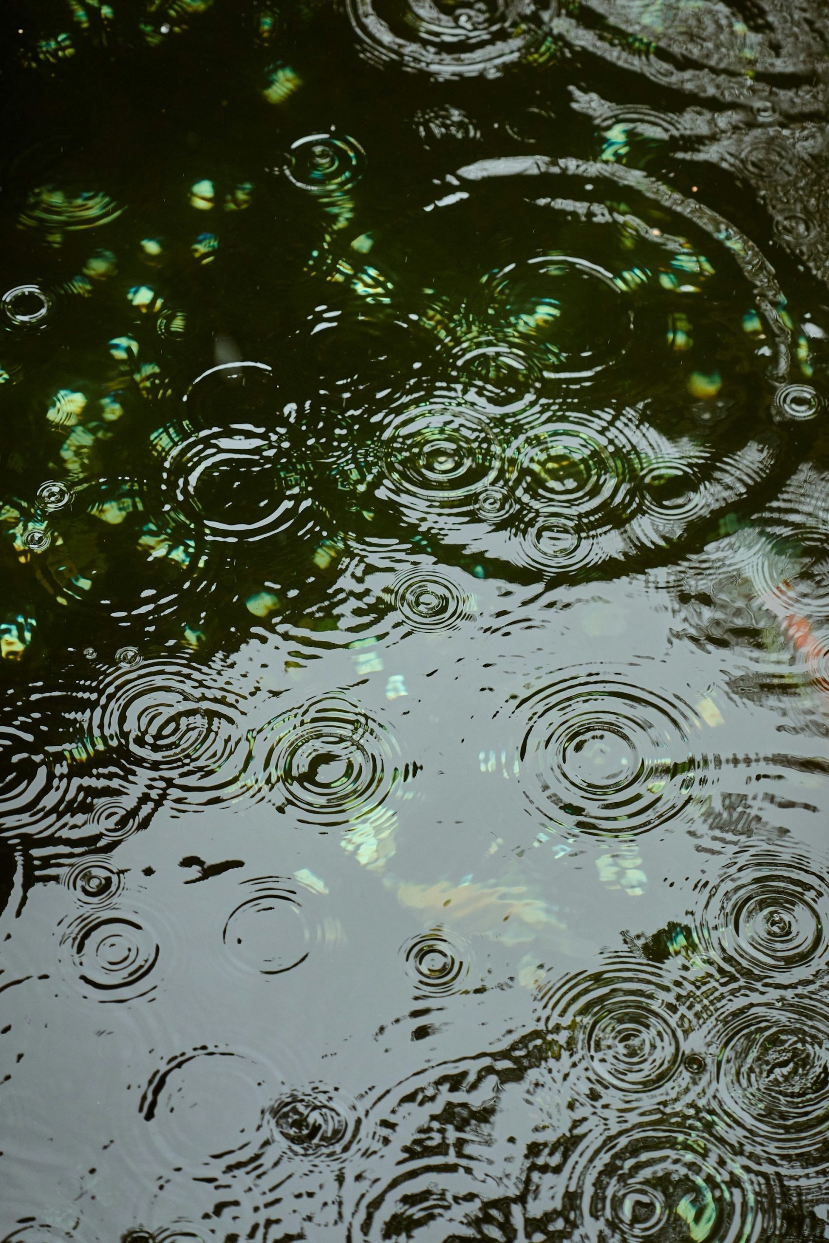Raindrops Creating Ripples On A Dark, Reflective Surface