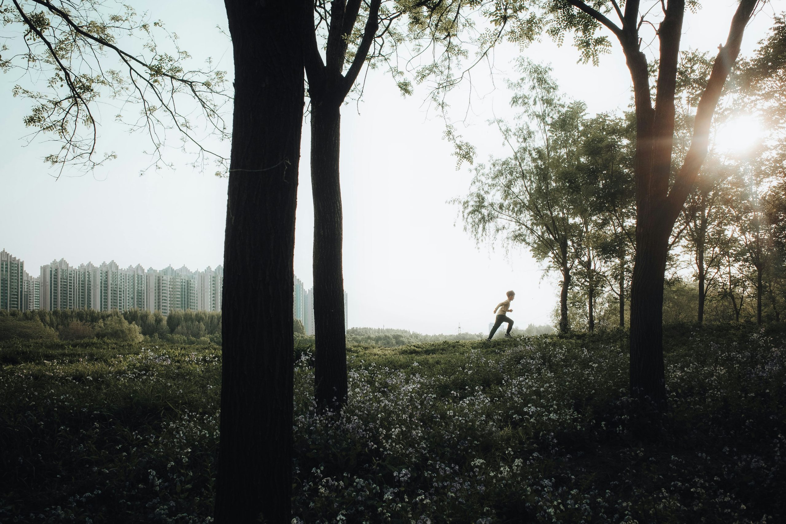 A person running through a field at sunrise