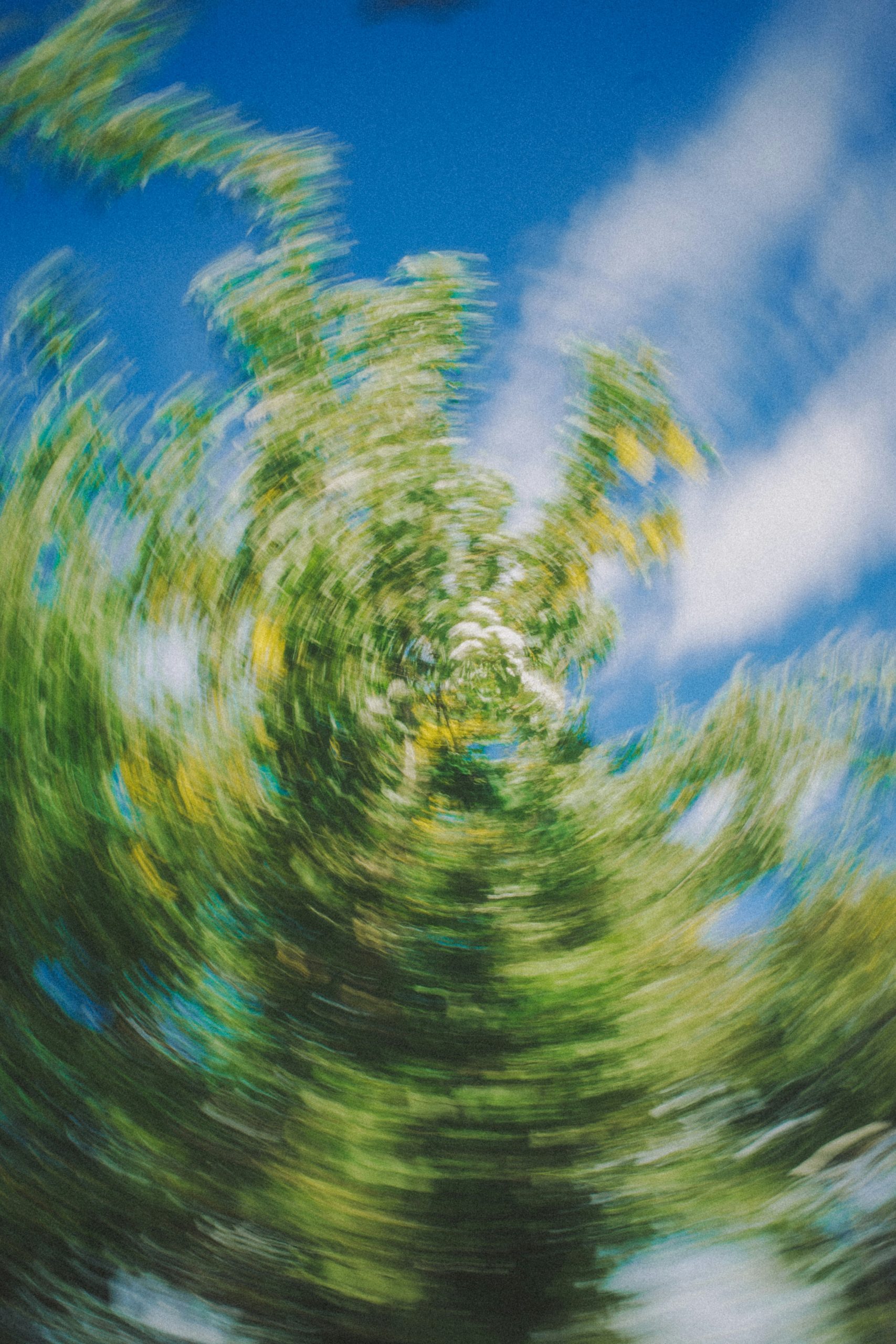 Blurred green tree swirling under a blue sky