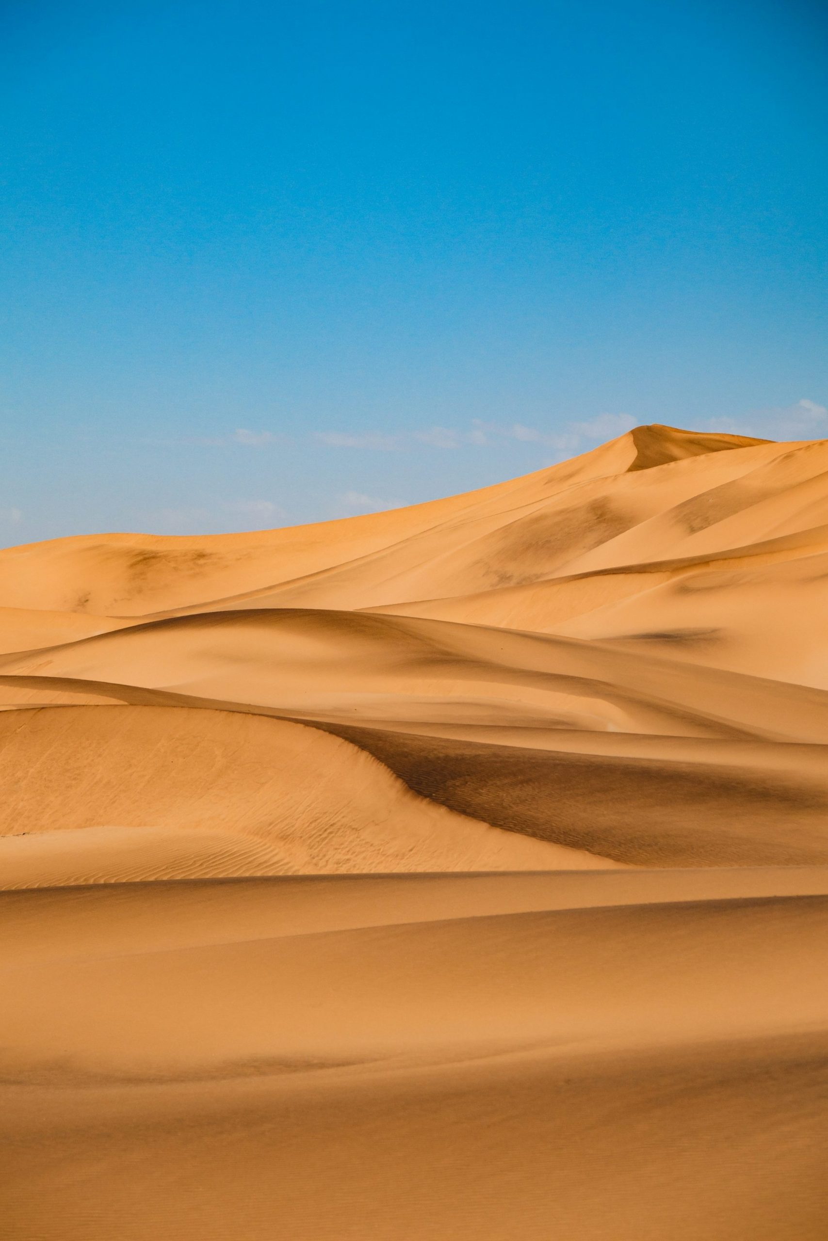 Golden Desert Dunes Under A Clear Blue Sky