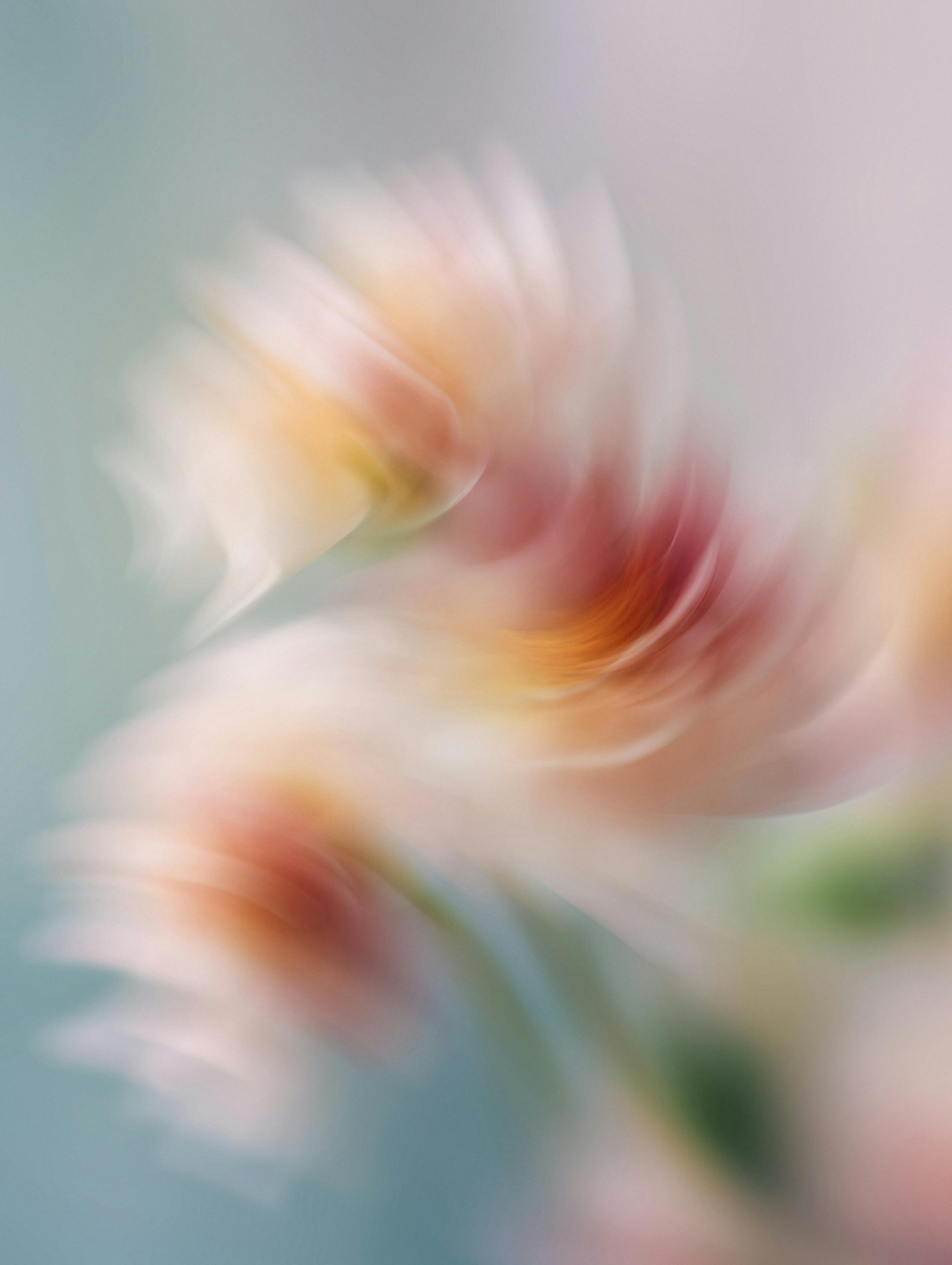 Abstract swirling flowers with soft pastel colors