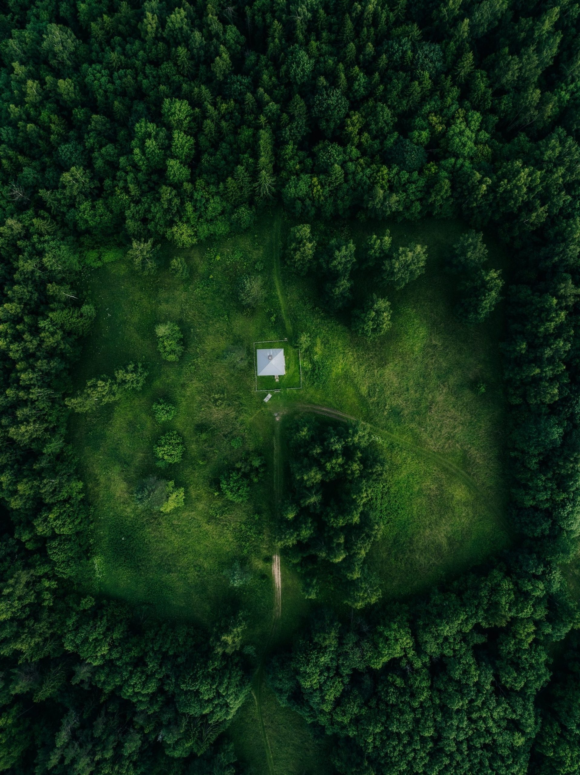 Aerial View Of A Small House In A Forest Clearing