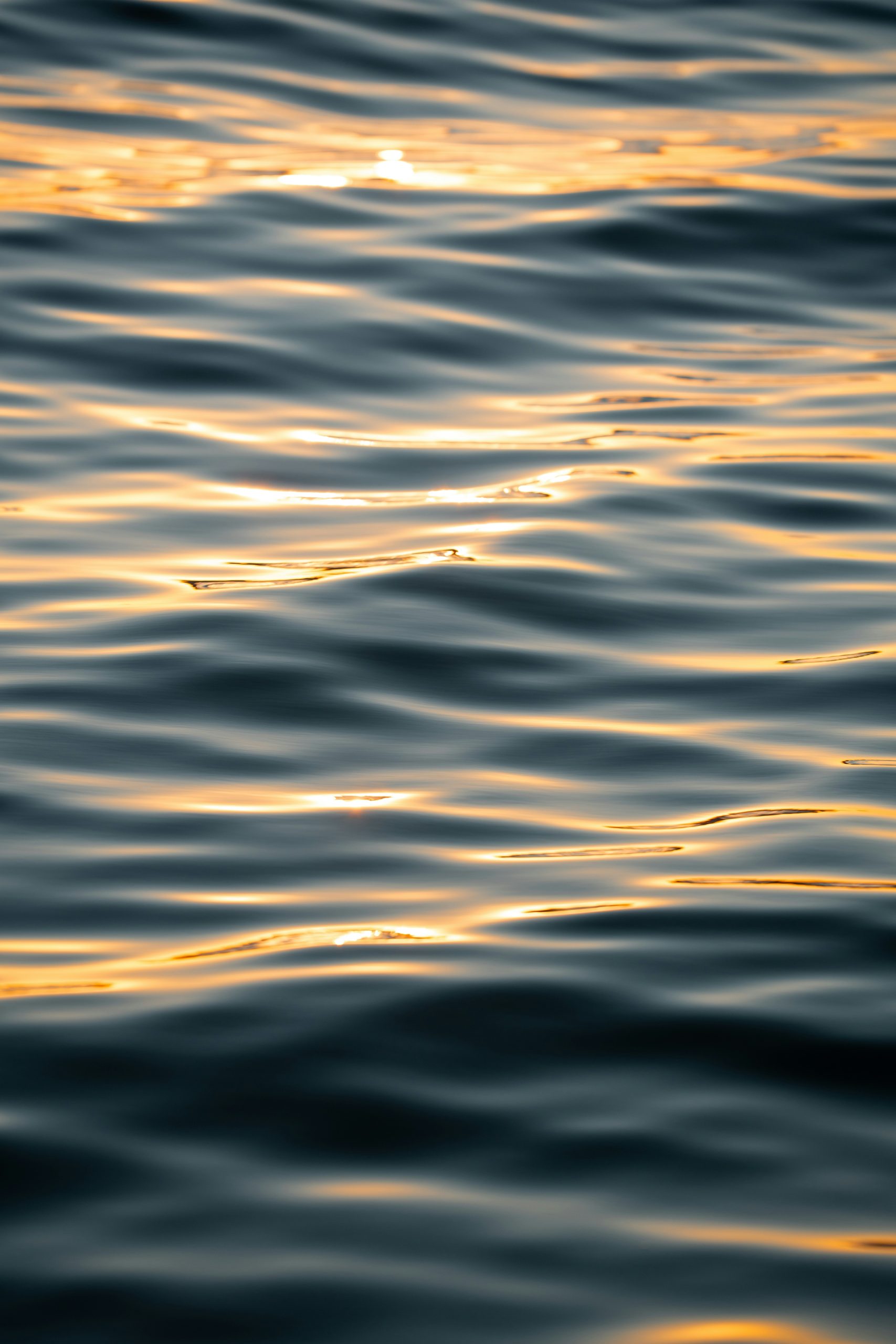 Golden sunlight reflects on dark blue rippling water