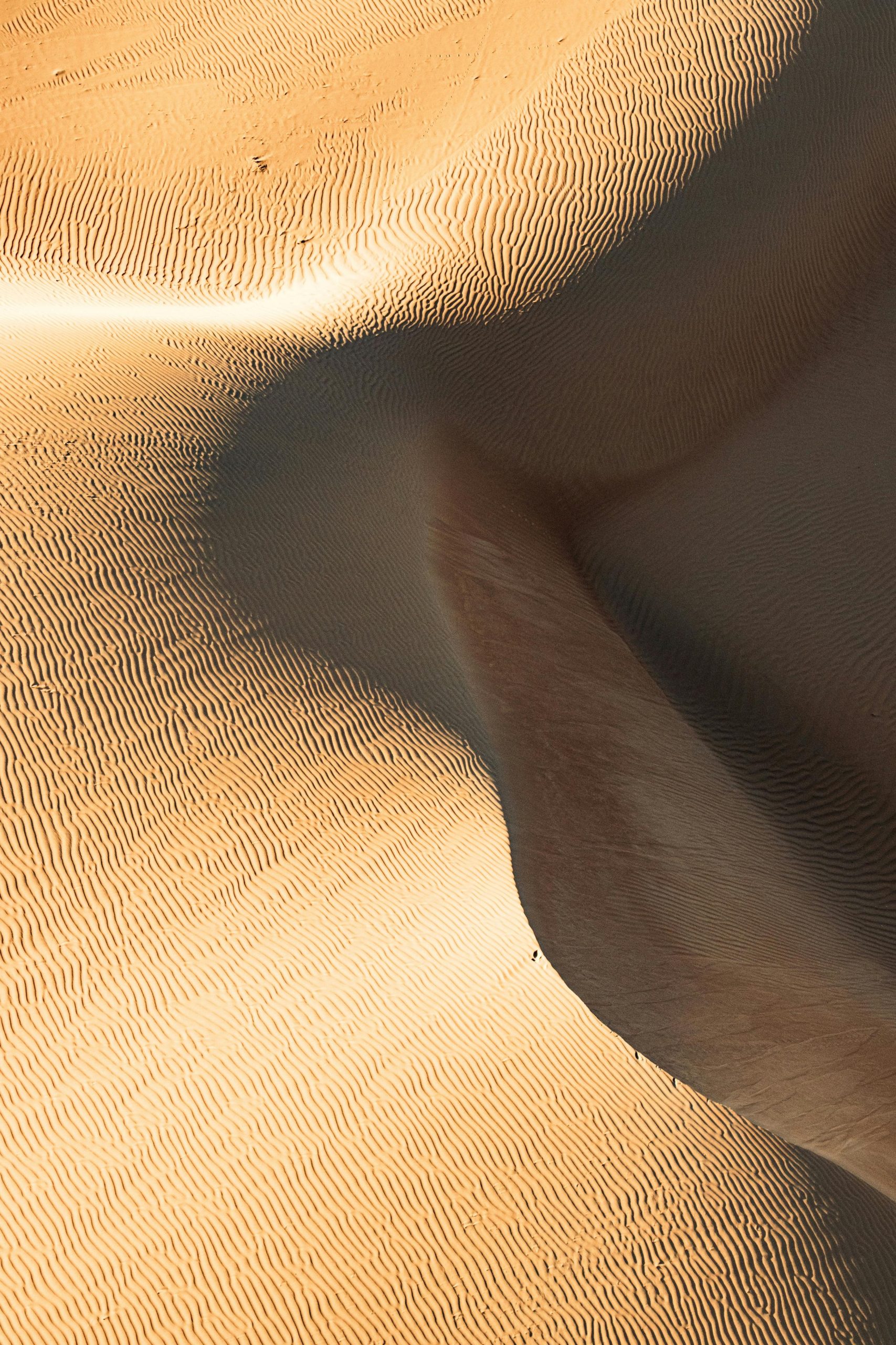 Golden desert sand dunes with intricate ripple patterns