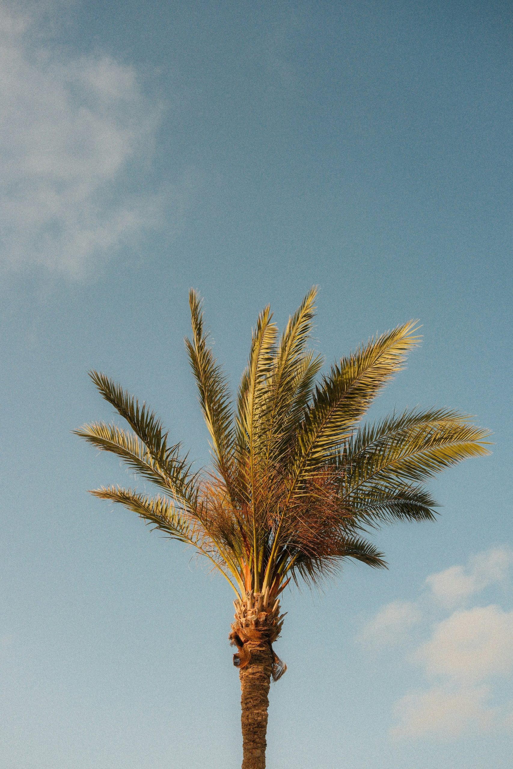 Ultra HD Wallpaper