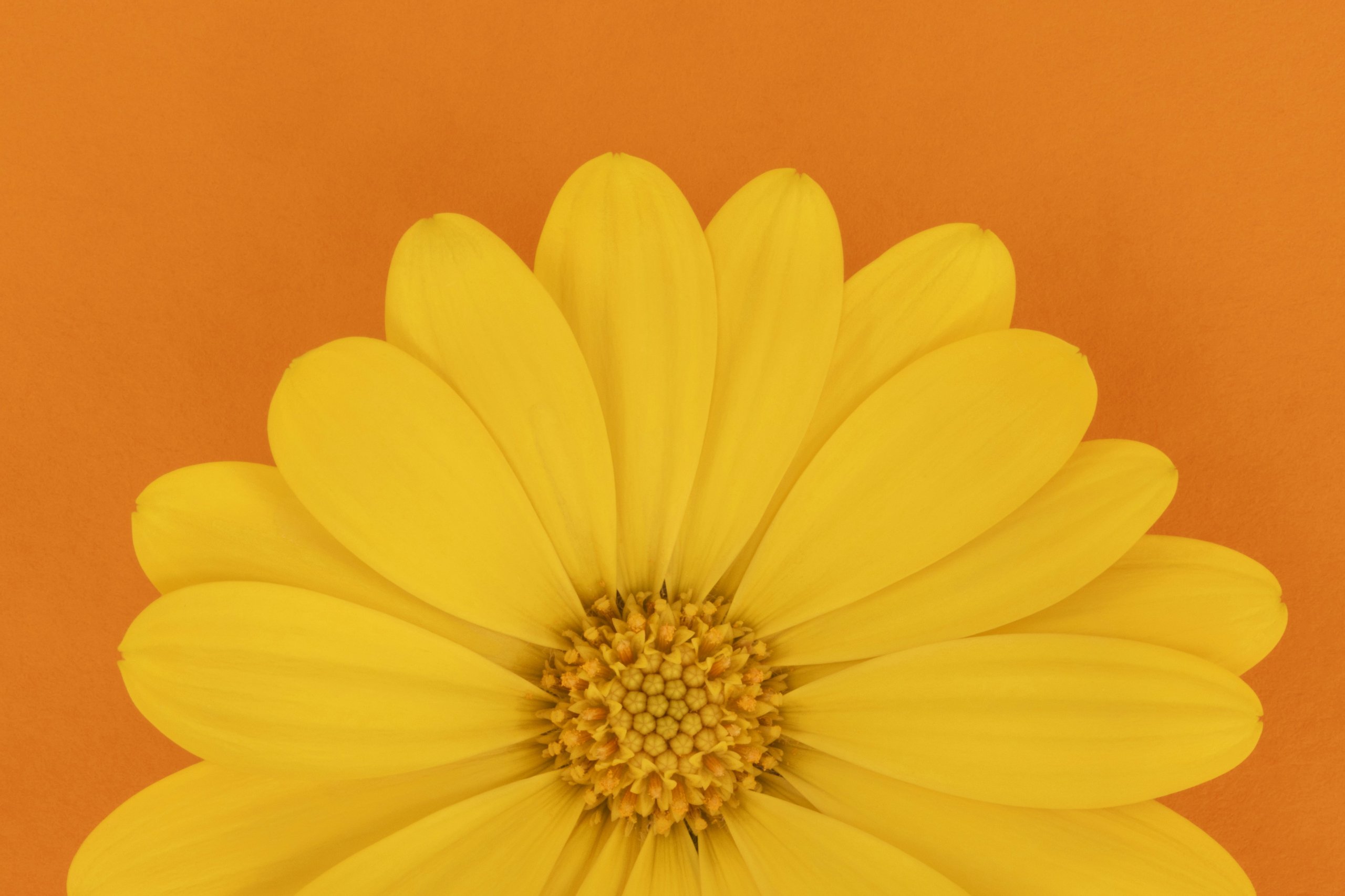 Ultra HD Wallpaper