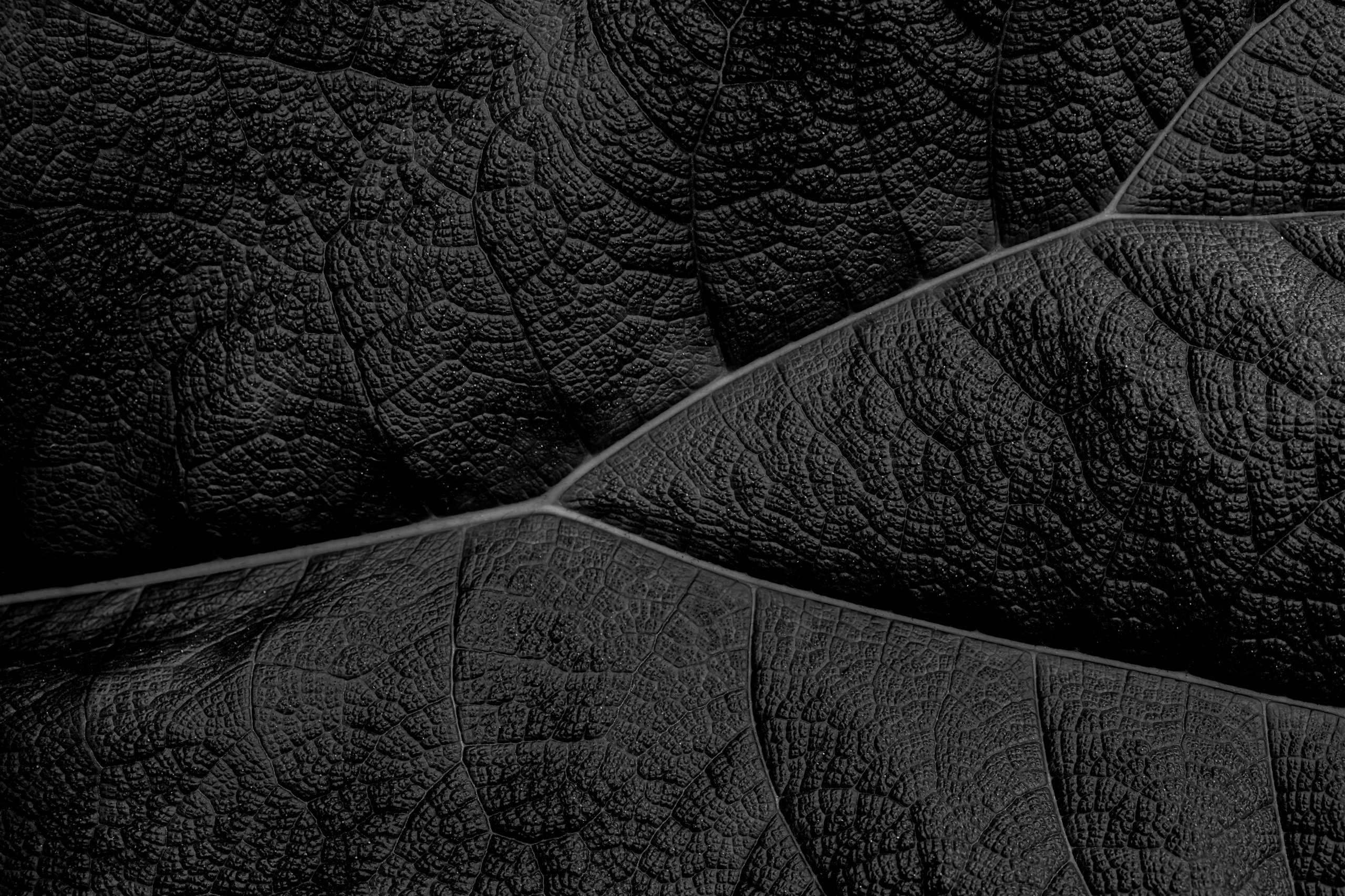 Ultra HD Wallpaper