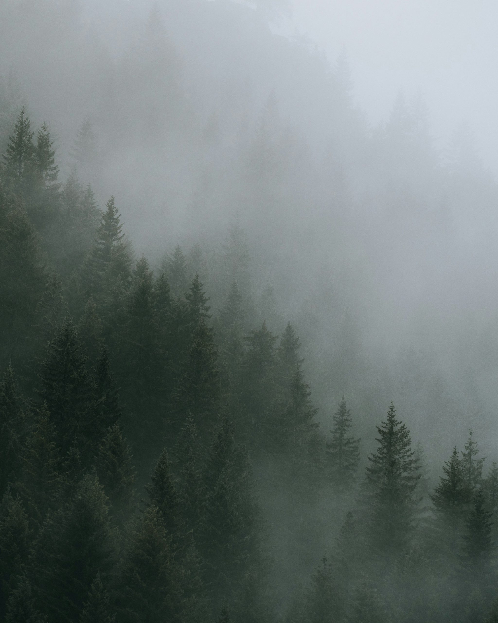 Ultra HD Wallpaper
