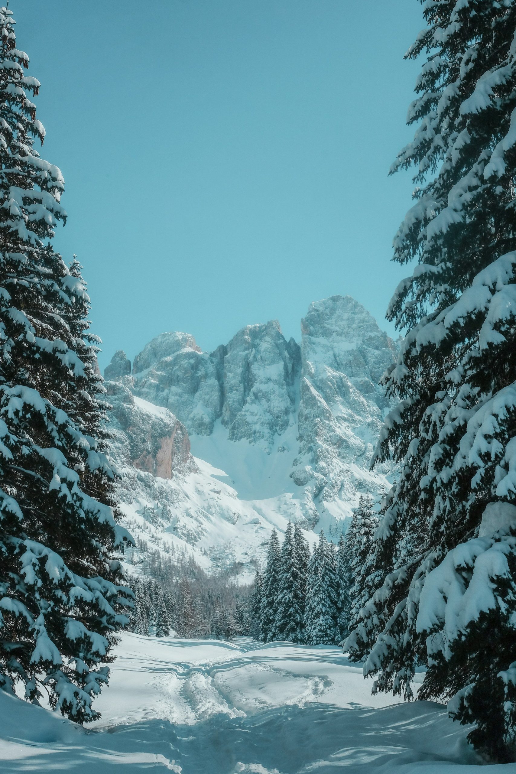 Ultra HD Wallpaper