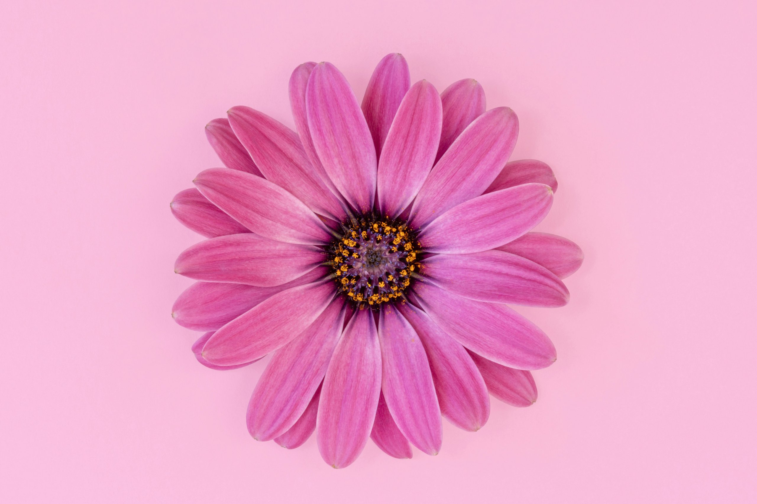 Ultra HD Wallpaper