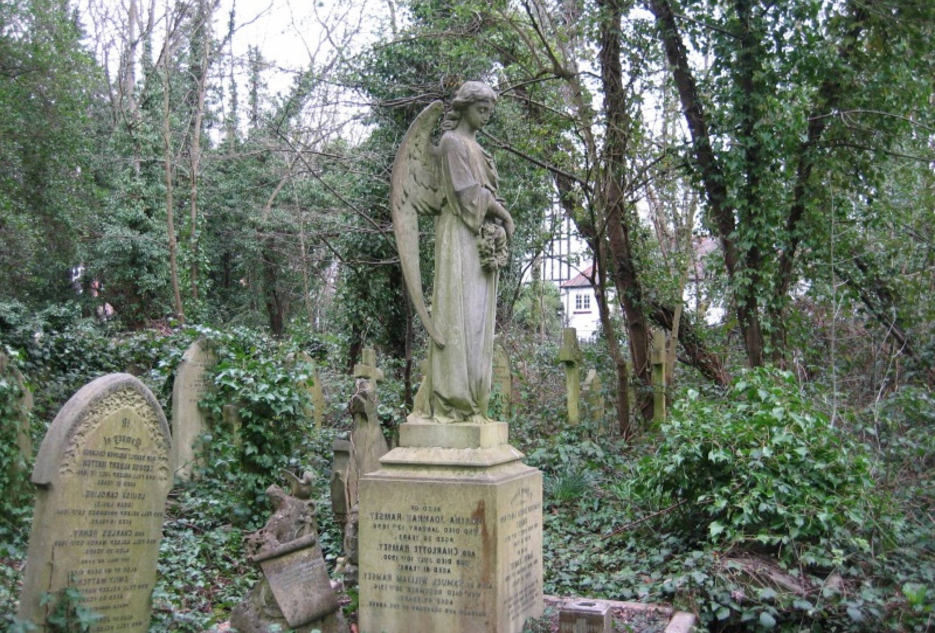 A stone angel statue in a mossy cemetery with overgrown trees and old headstones.