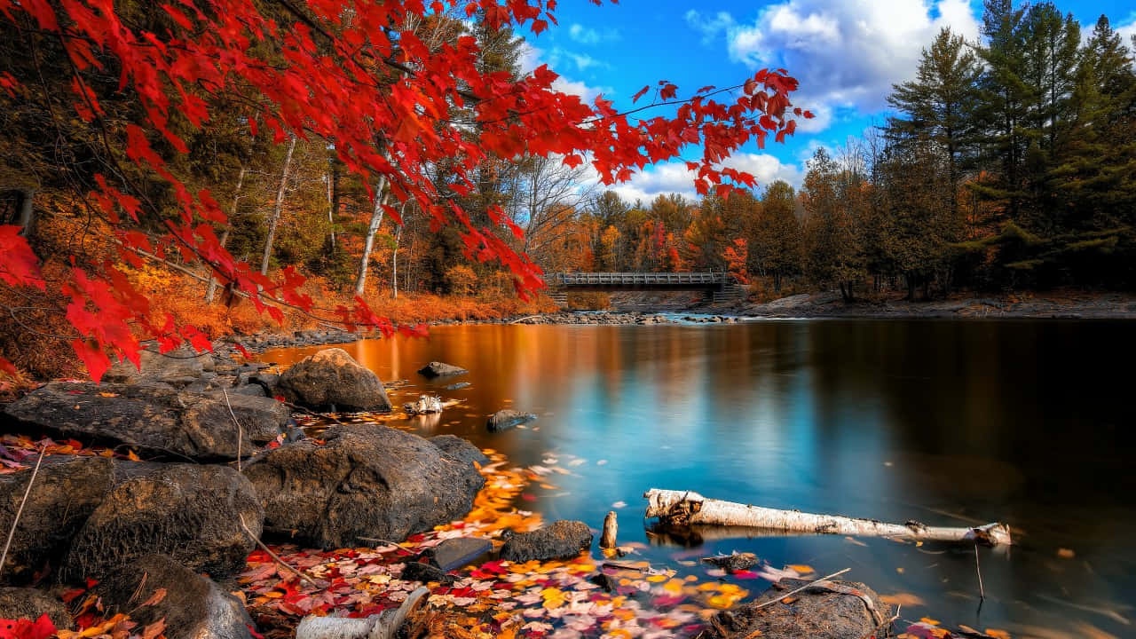 Autumn river scene with red leaves, rocks, and a wooden bridge under a blue sky.