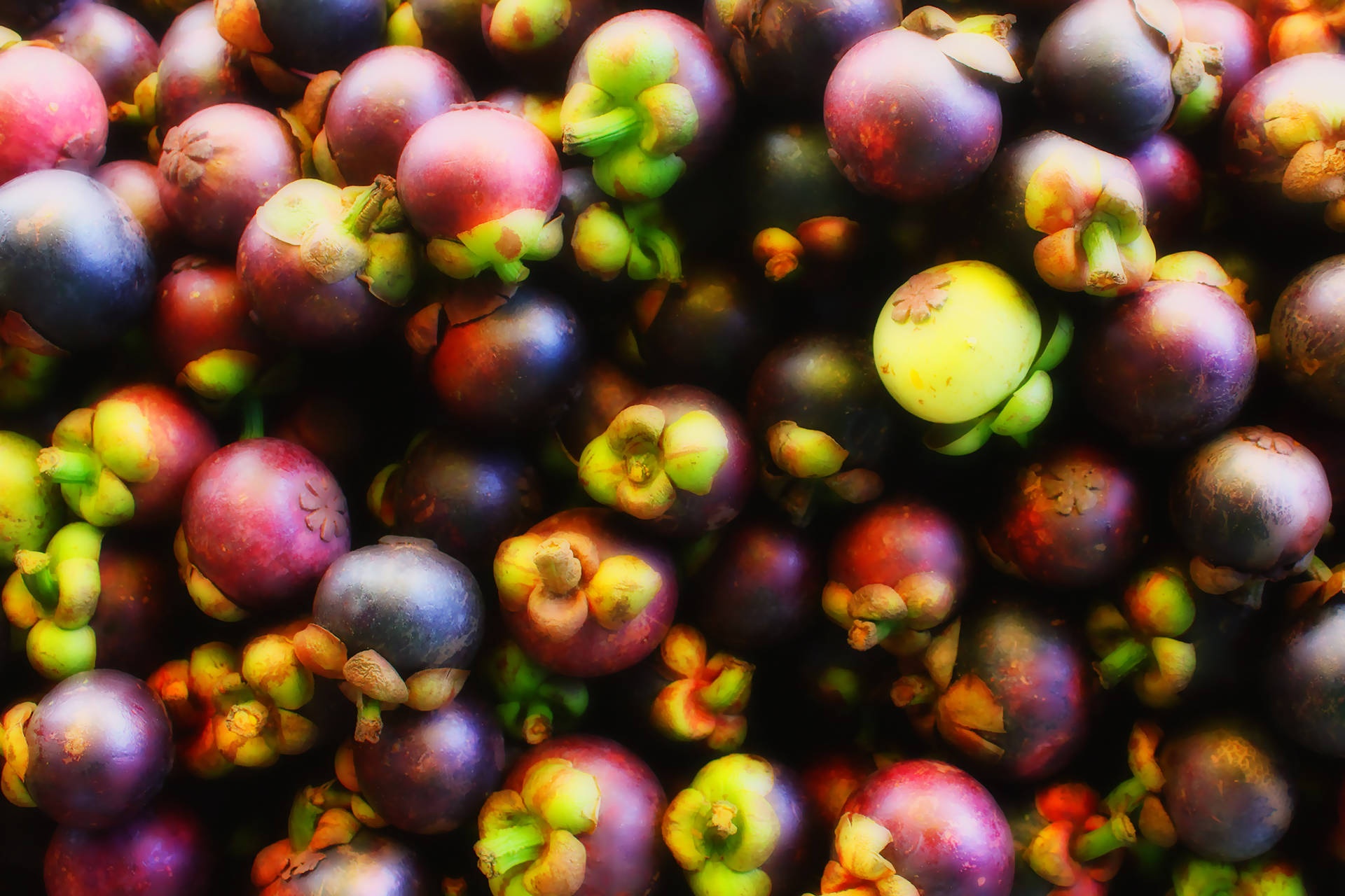 A pile of ripe mangosteens with purple skin and green stems.