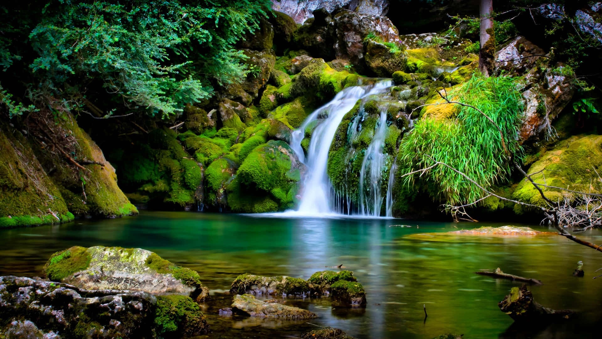 A small waterfall flows into a calm green pool surrounded by mossy rocks and trees. – Ultra HD Wallpaper