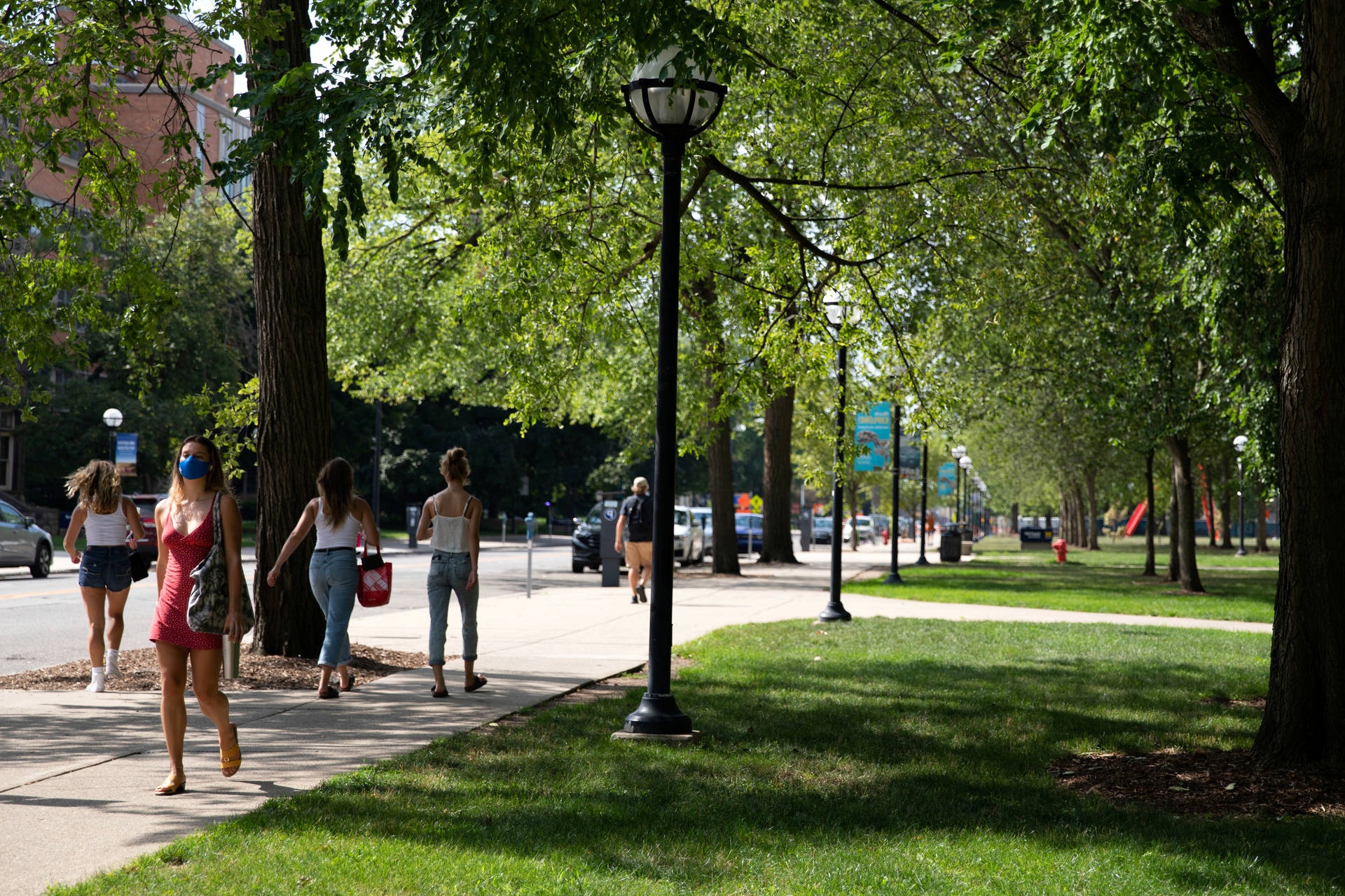 People walking on a tree-lined sidewalk in a sunny urban park setting.