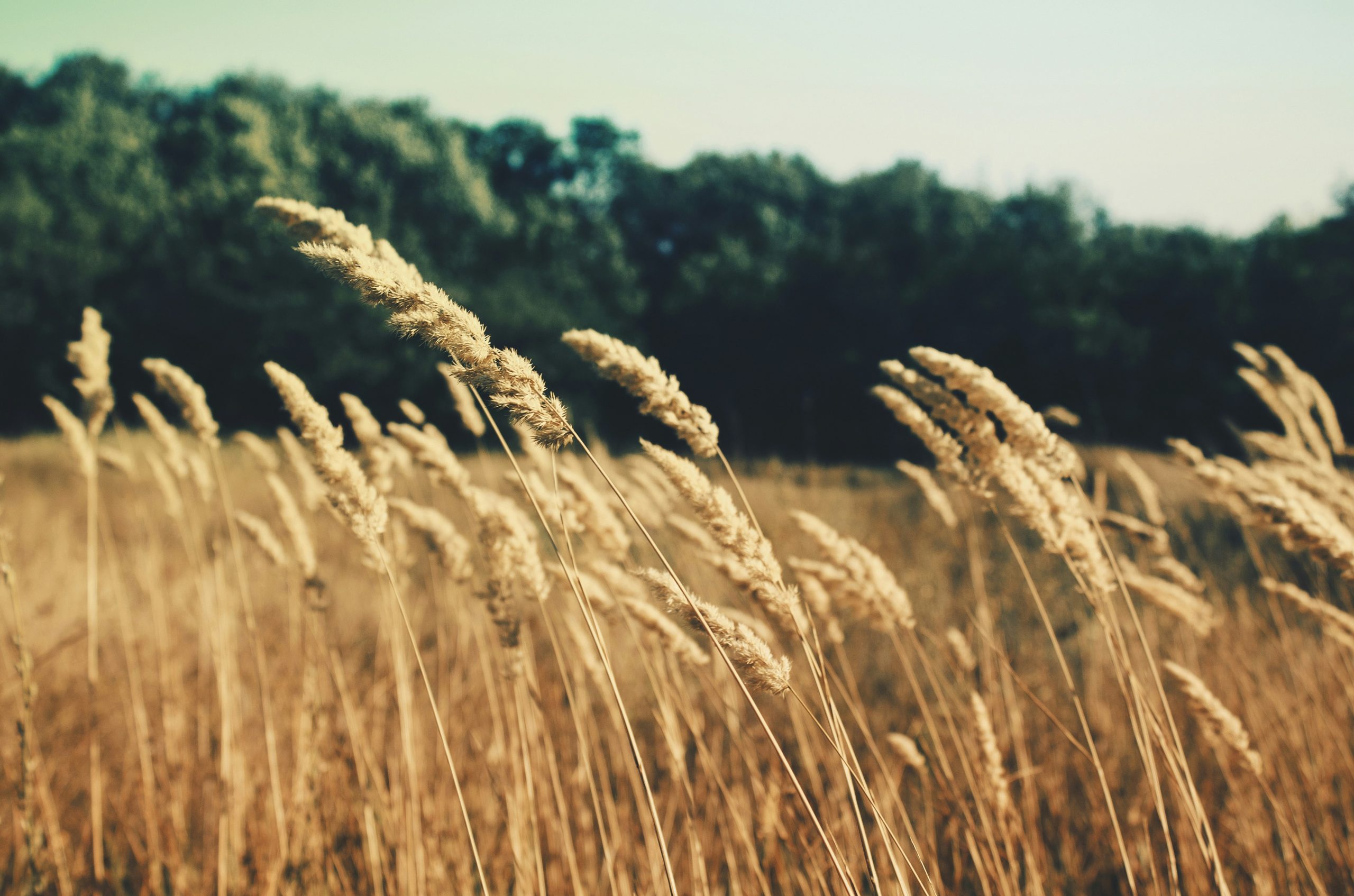 ethereal minimal composition