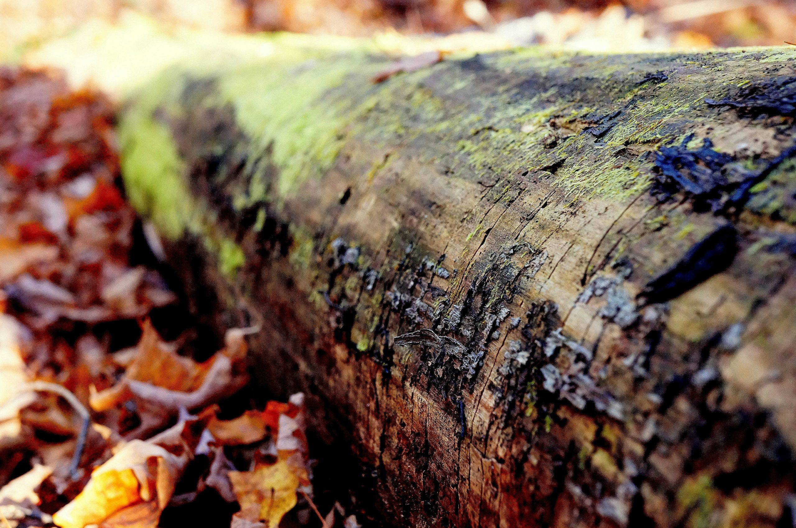 vibrant structural rhythm