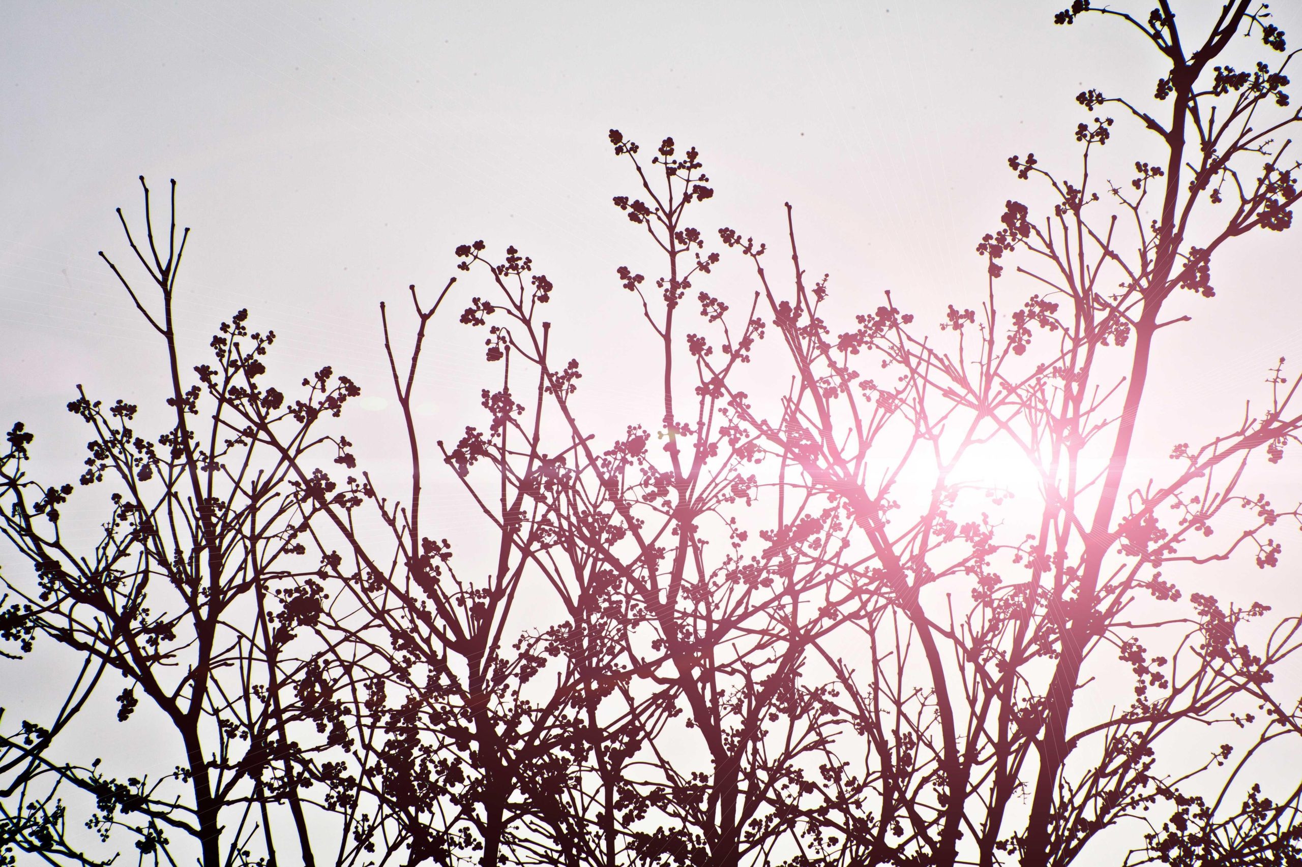 Soft gradient background transitioning through warm pastel shades
