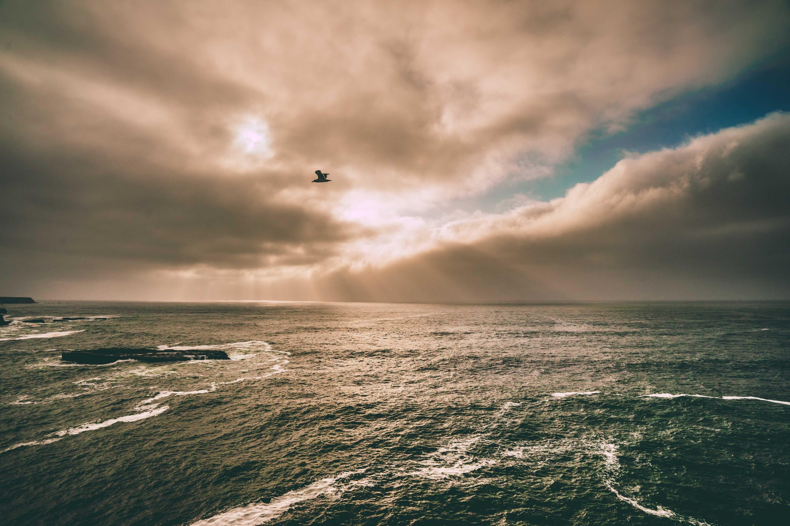 Rocky coastline with jagged cliffs meeting the open sea