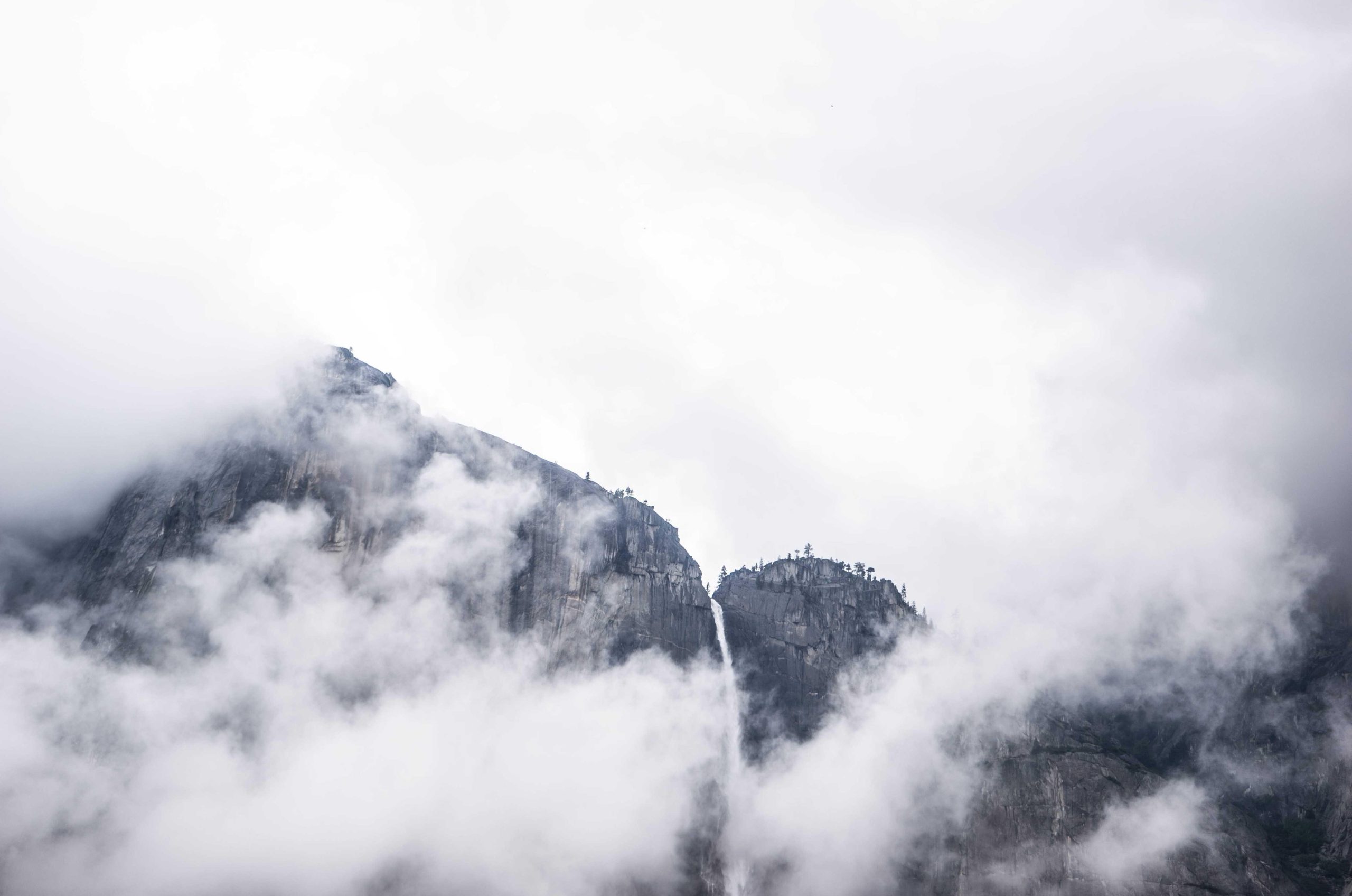 Dreamy soft focus background with luminous color bokeh effects