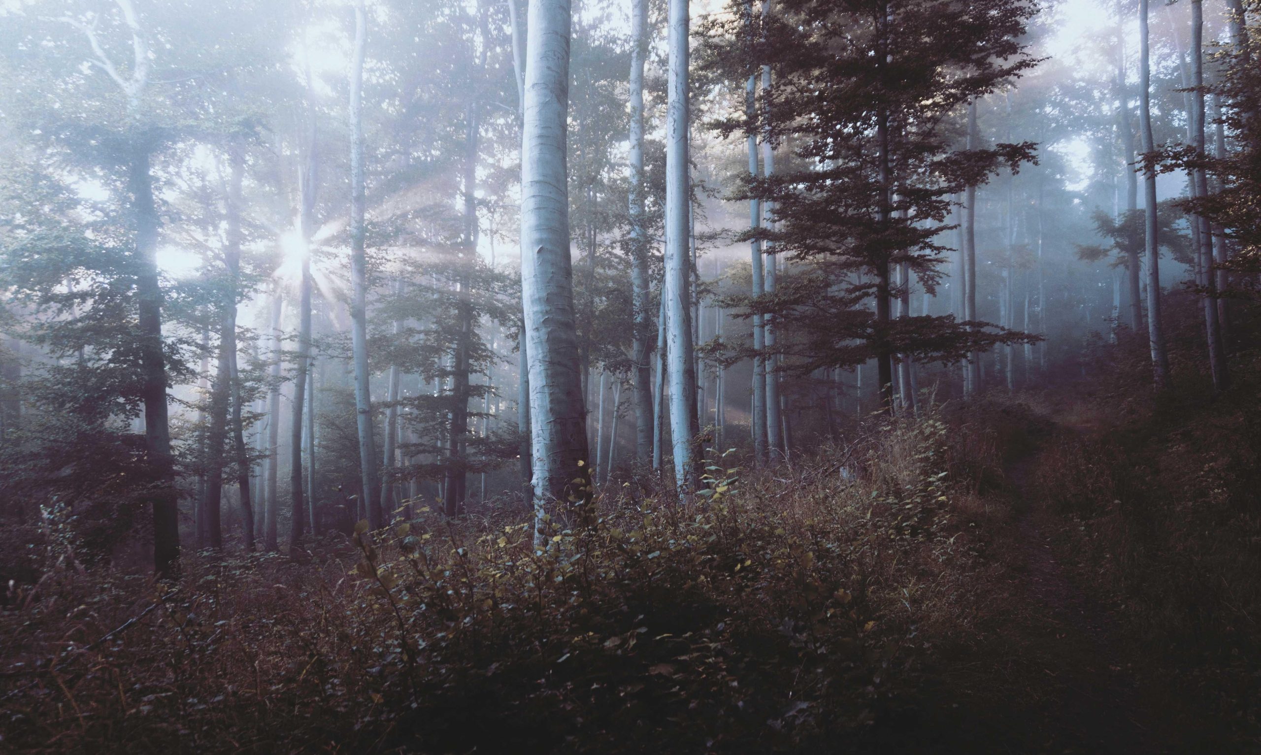 Soft gradient background transitioning through warm pastel shades