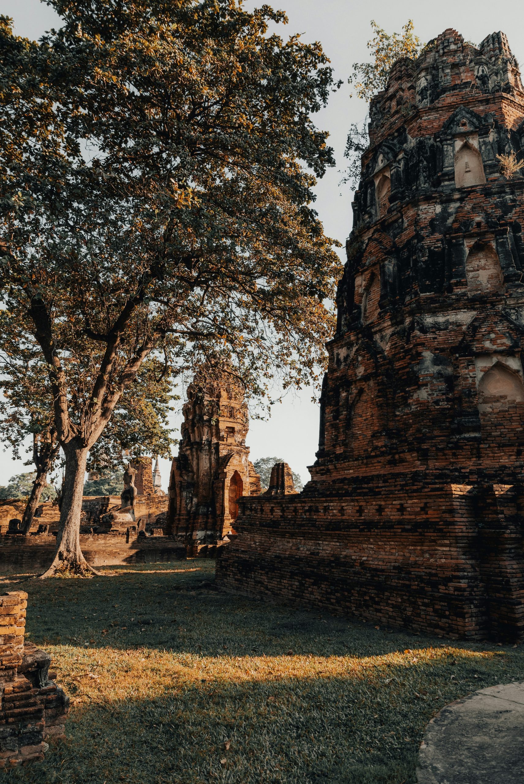 Ancient brick temple ruins with large trees and grass.