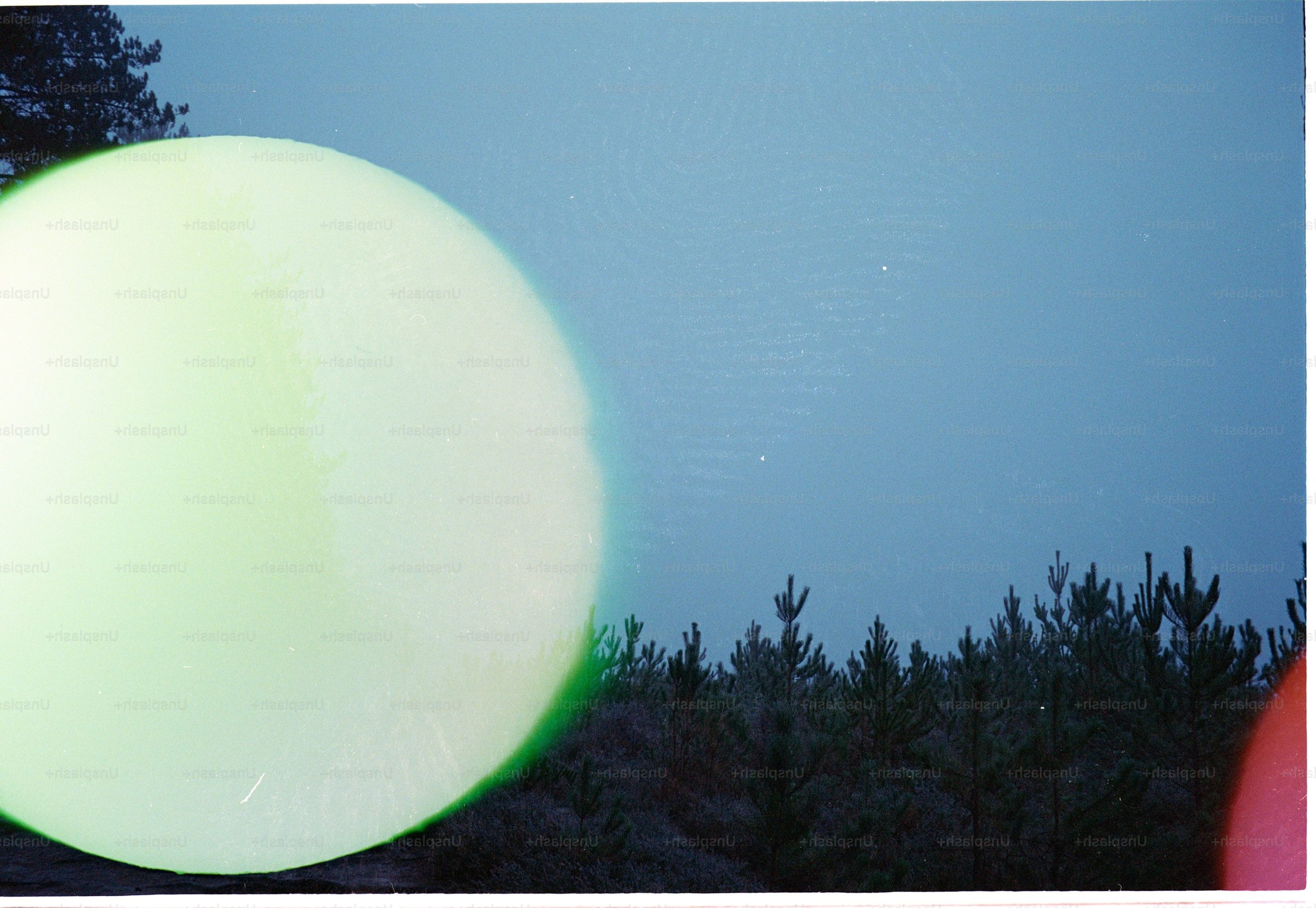 Large glowing orbs against a dark forest sky