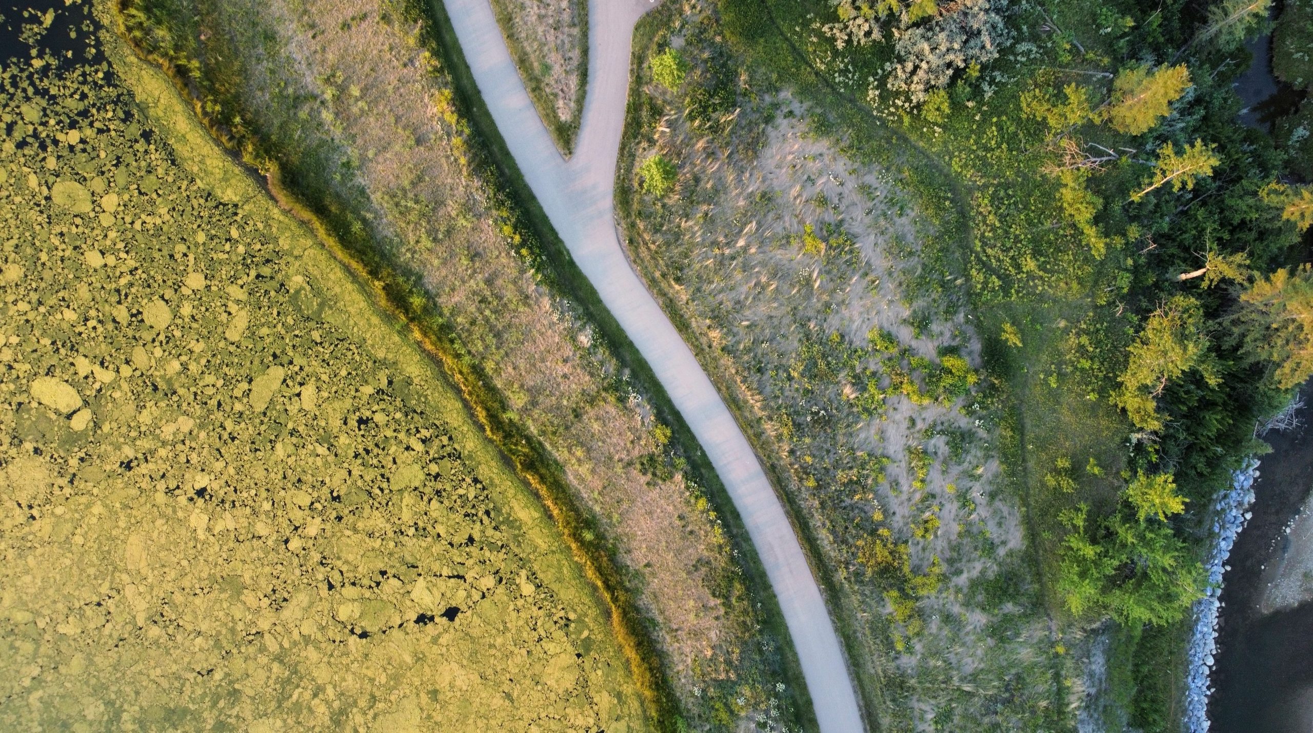 Aerial view of a winding path through grassy terrain.