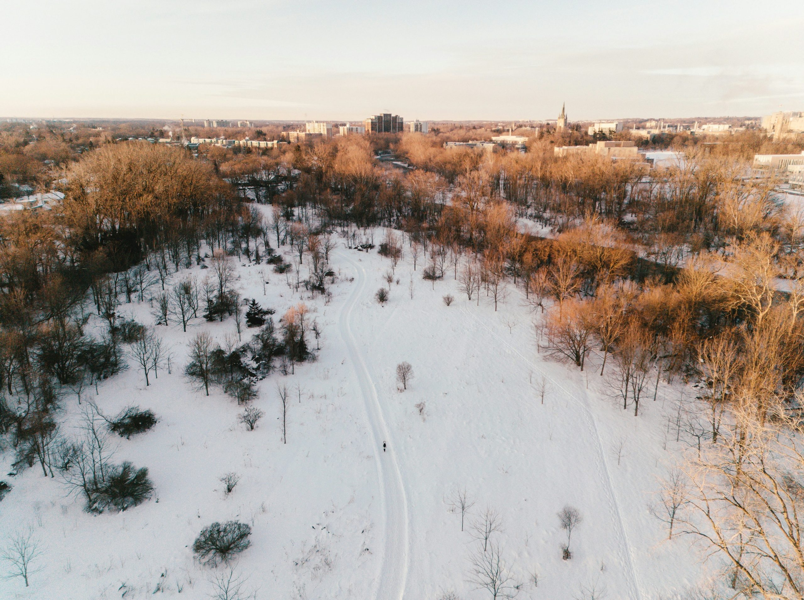 Snowy landscape with trees and a distant town