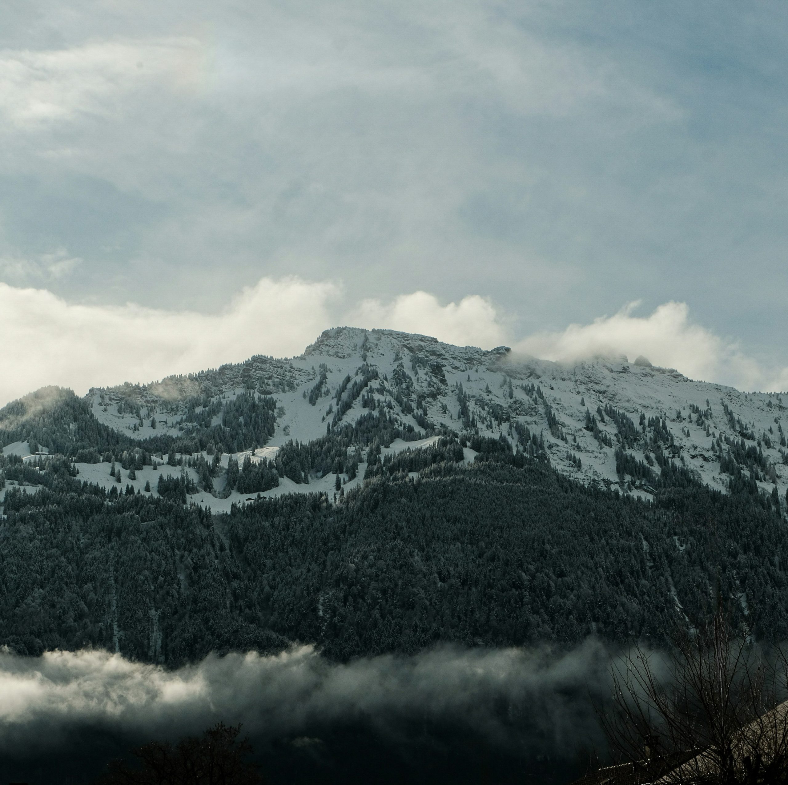 Snow-covered mountain peaks with evergreen trees and clouds