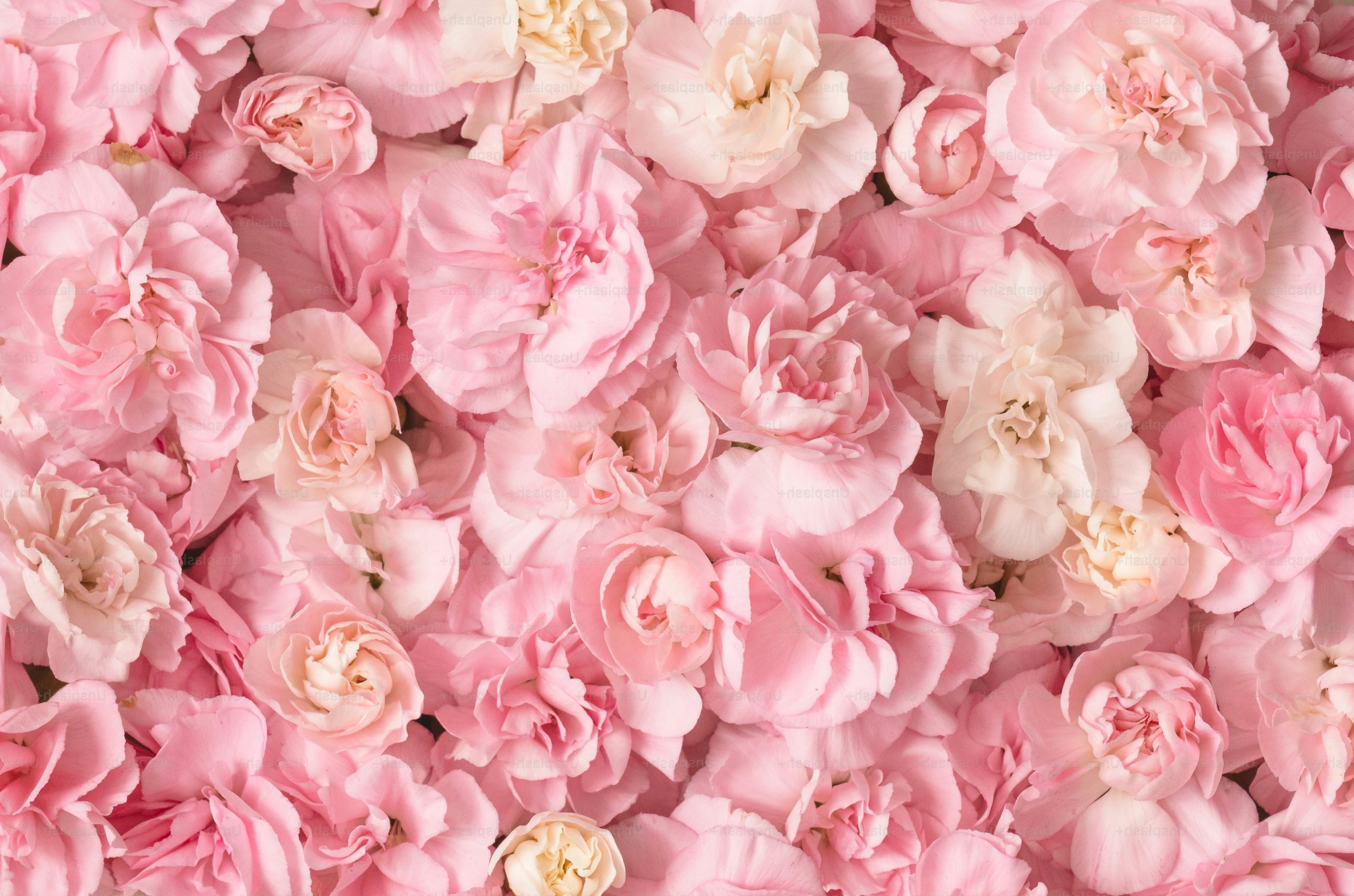 A beautiful arrangement of pink and white flowers.