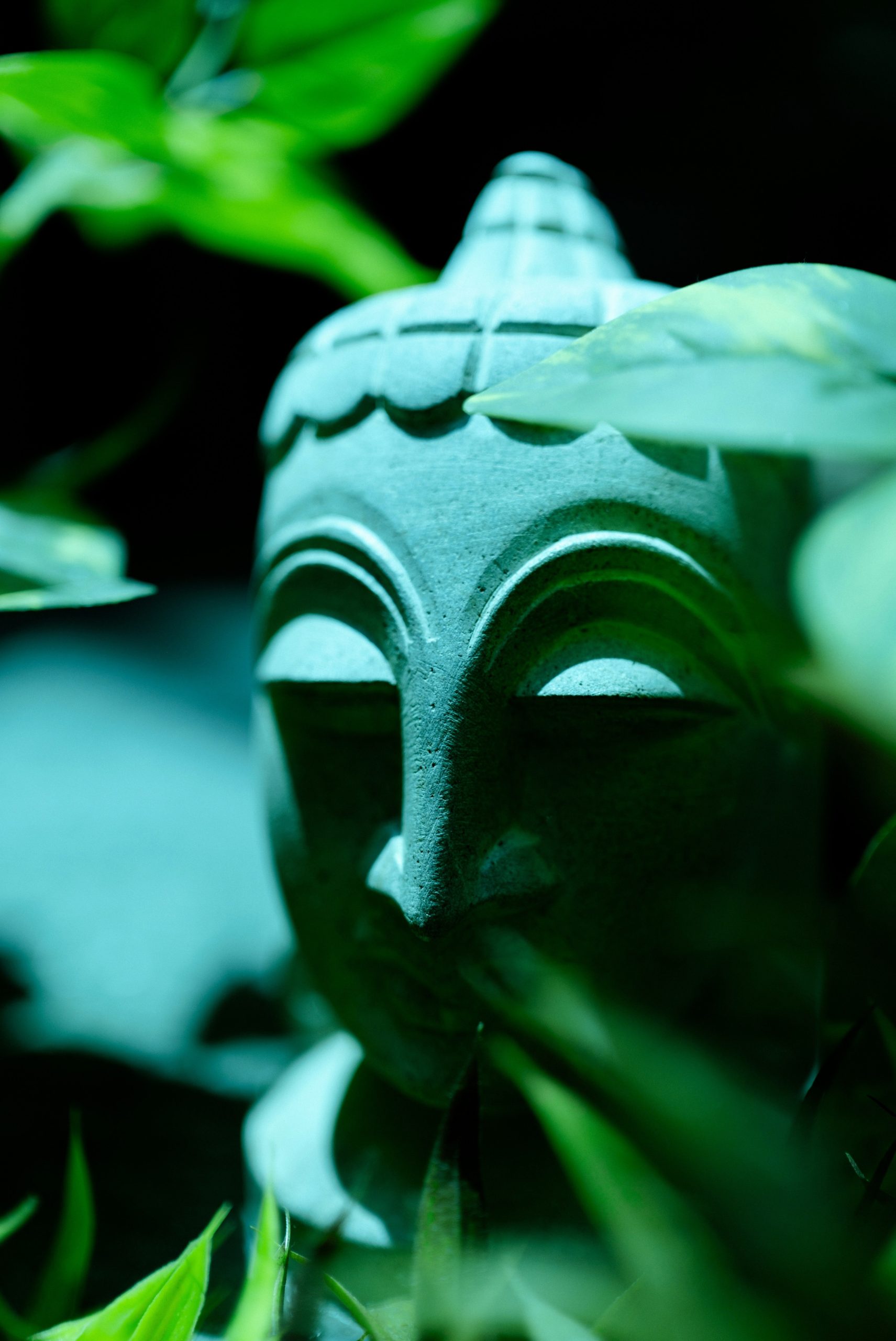 Stone buddha statue peeking through lush green leaves