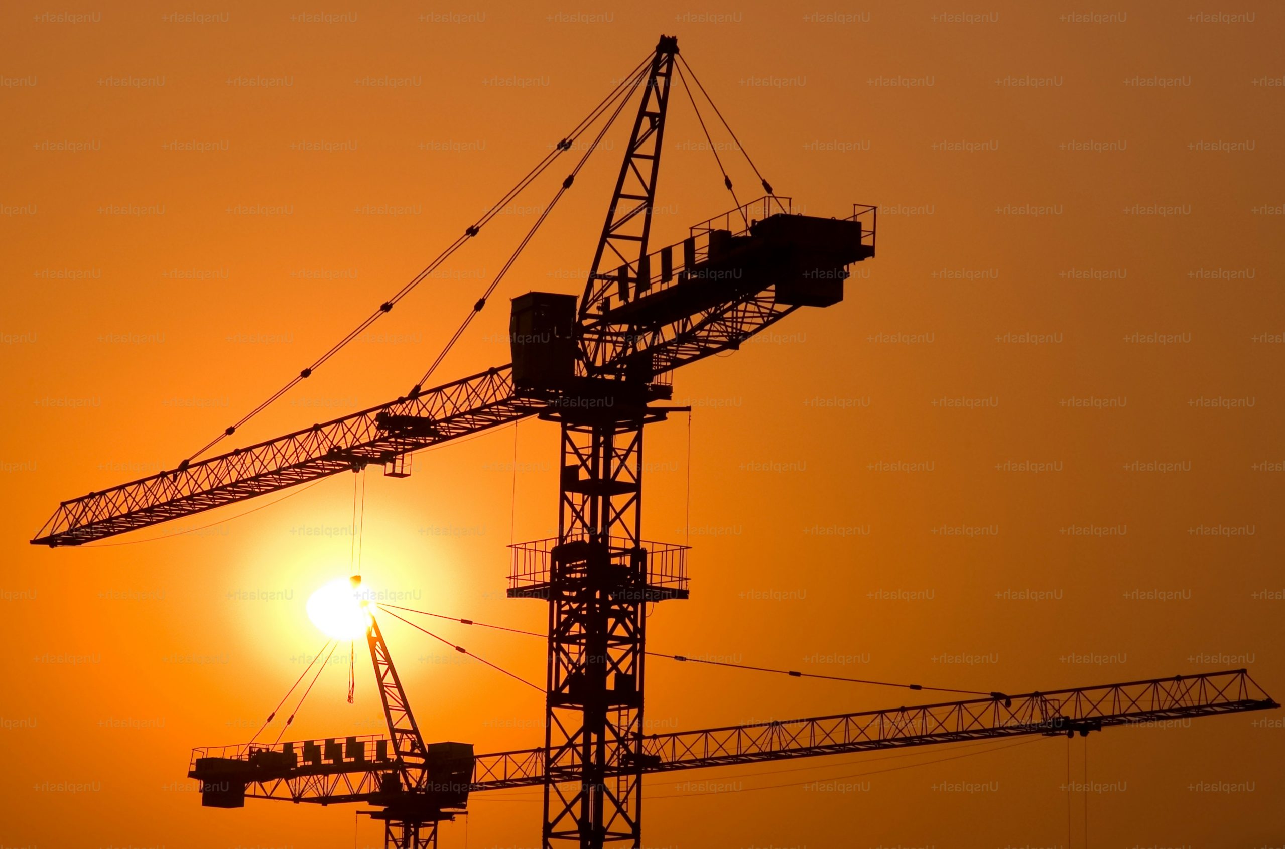 Cranes at Sunset. Please see similar images.