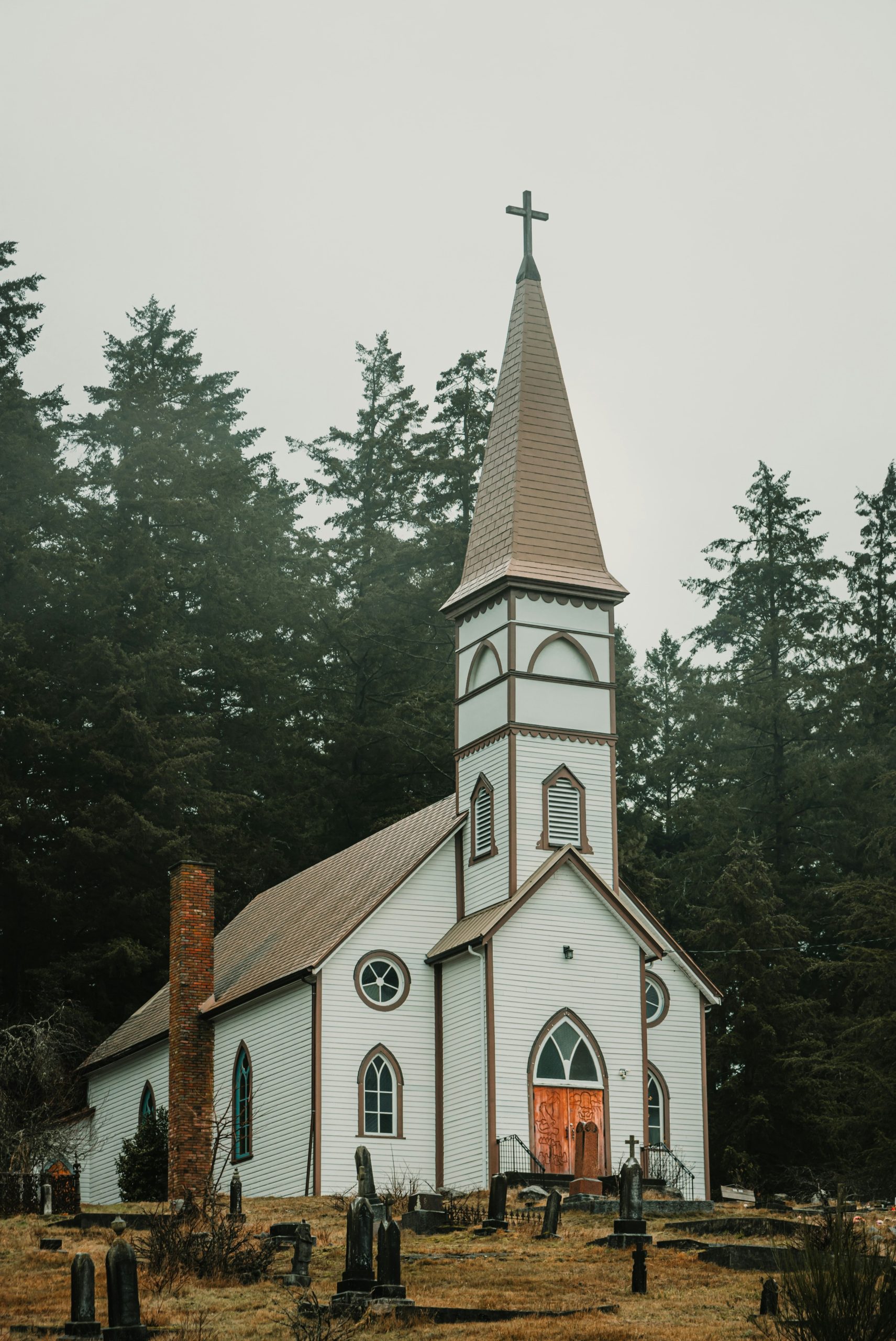 White church with steeple surrounded by pine trees