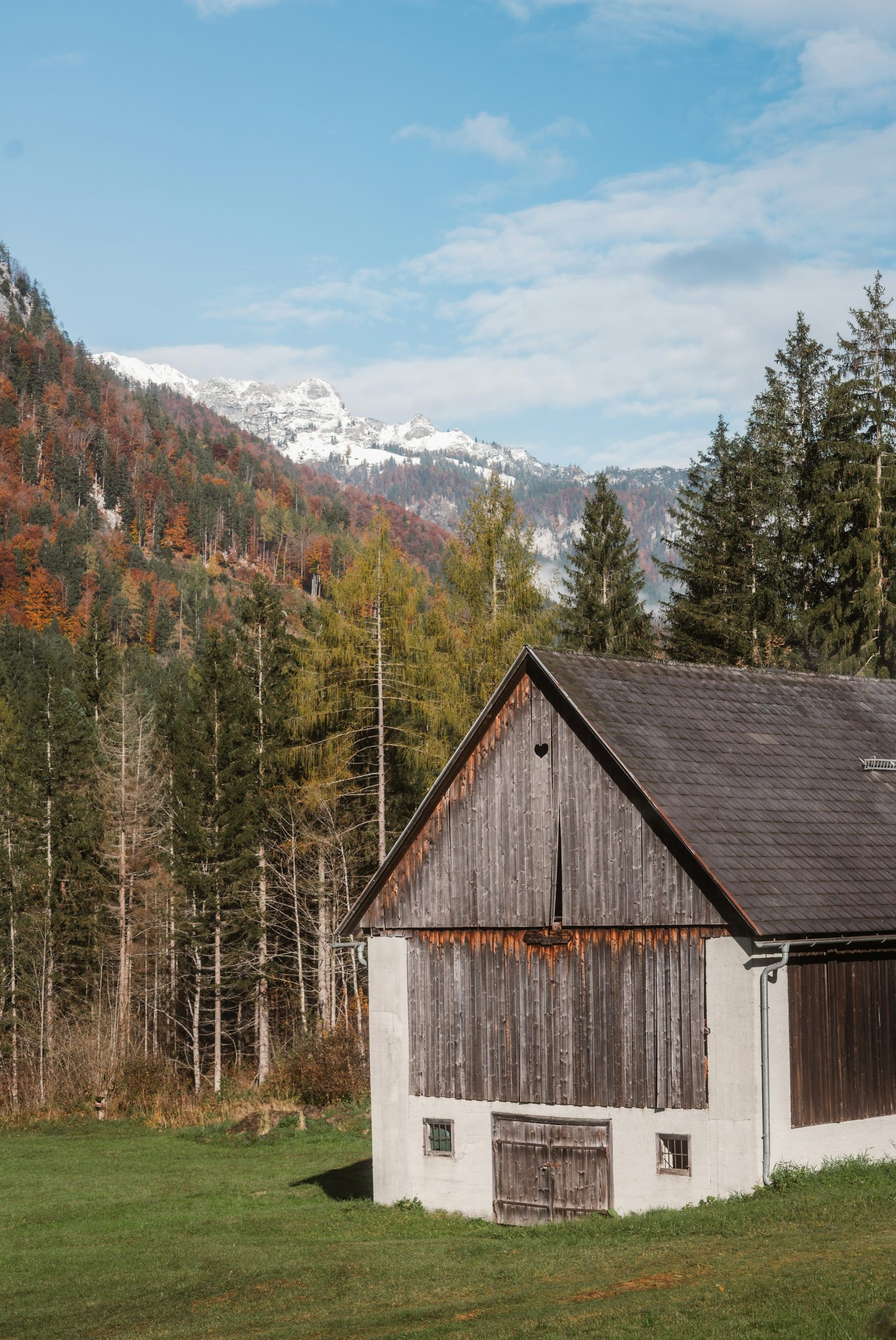 Wooden barn in front of a forest and mountains.