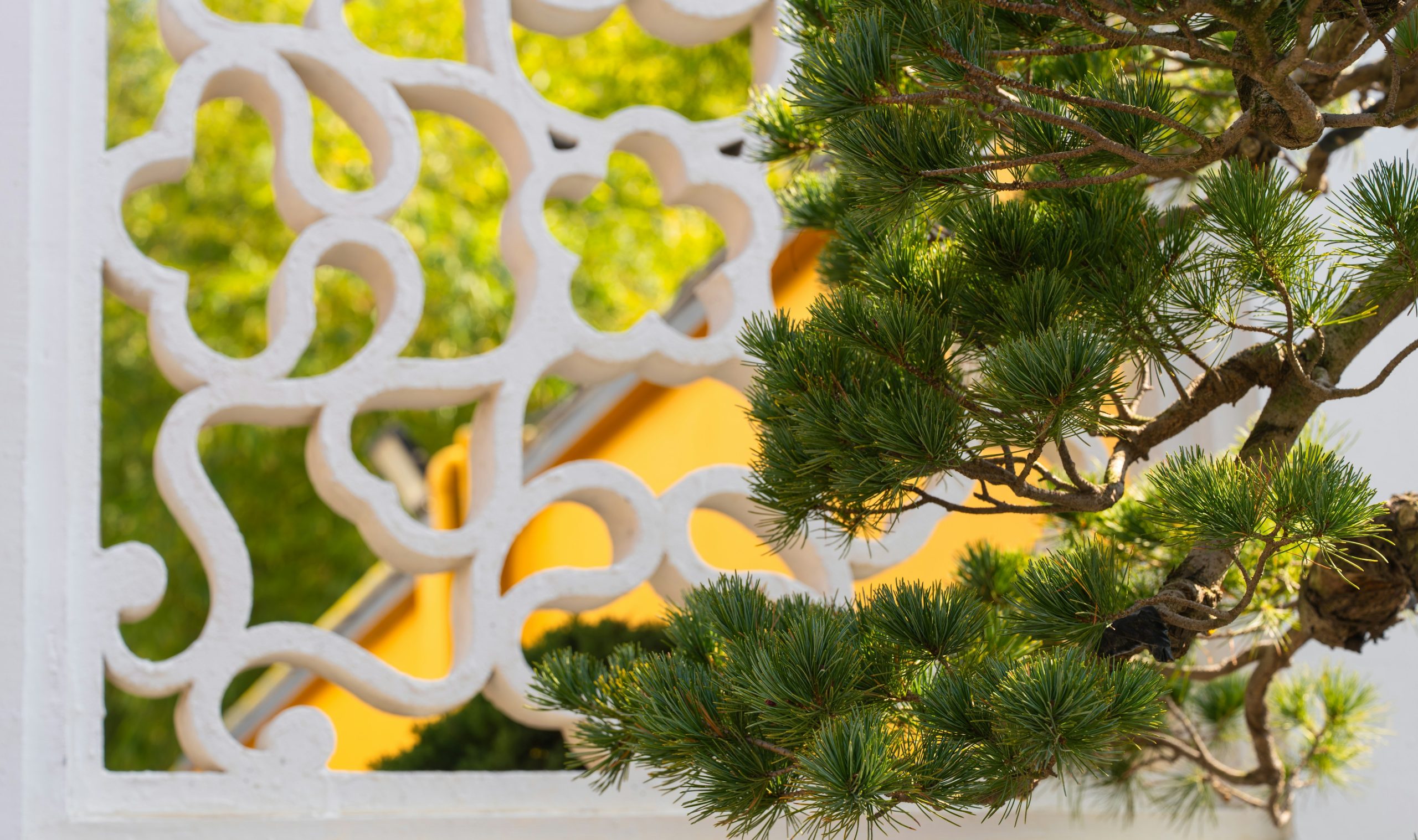 Green pine branches against ornate white lattice