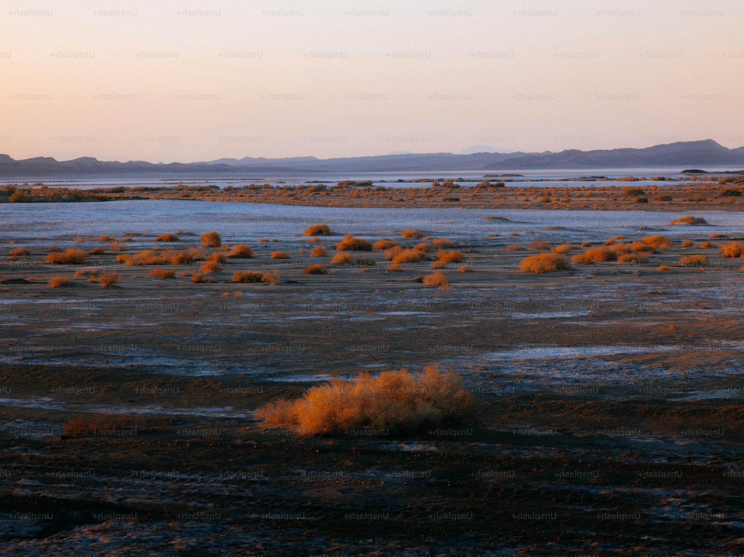 Dry landscape with sparse vegetation at sunset