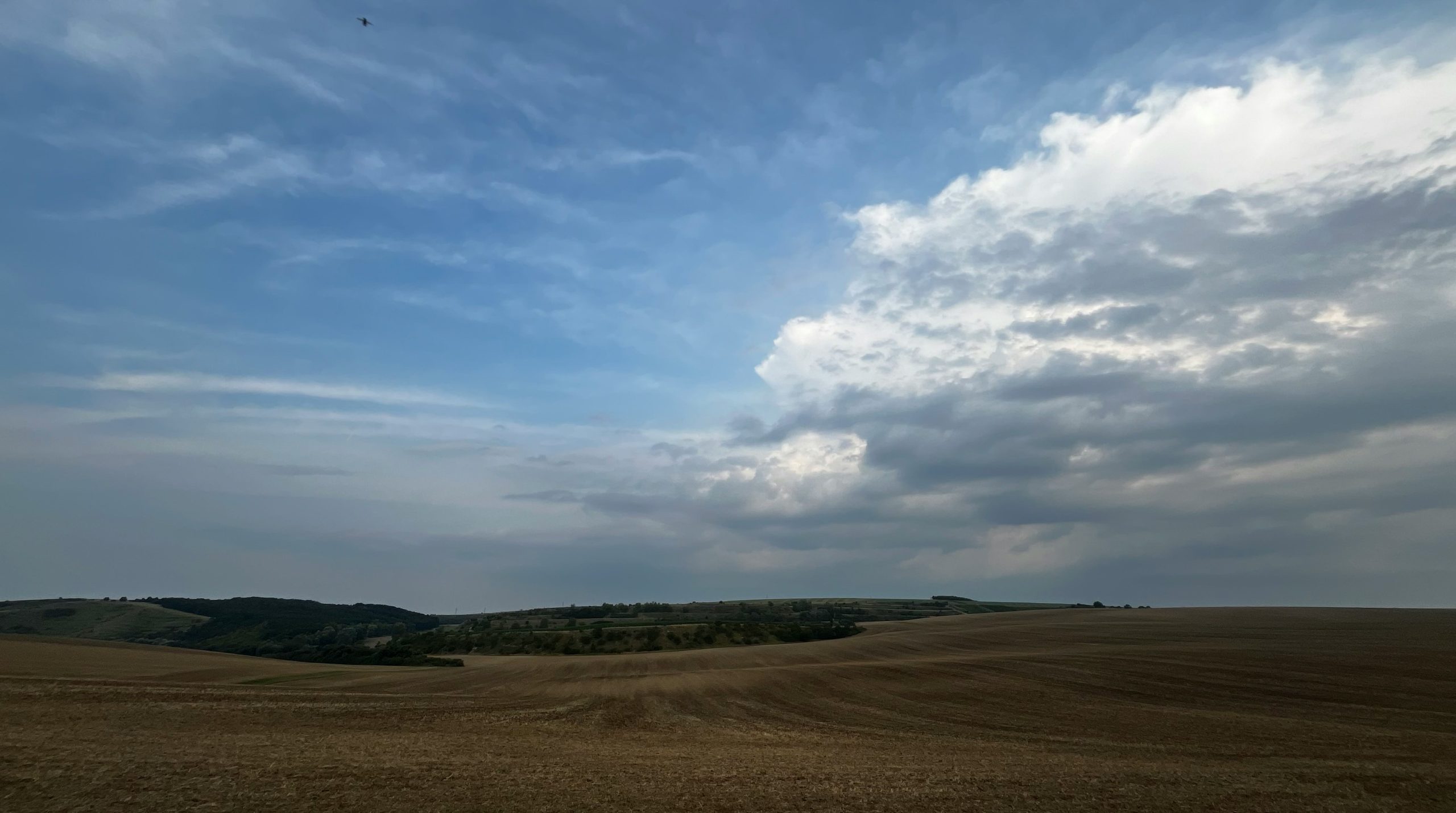 Vast golden field under a dramatic cloudy sky