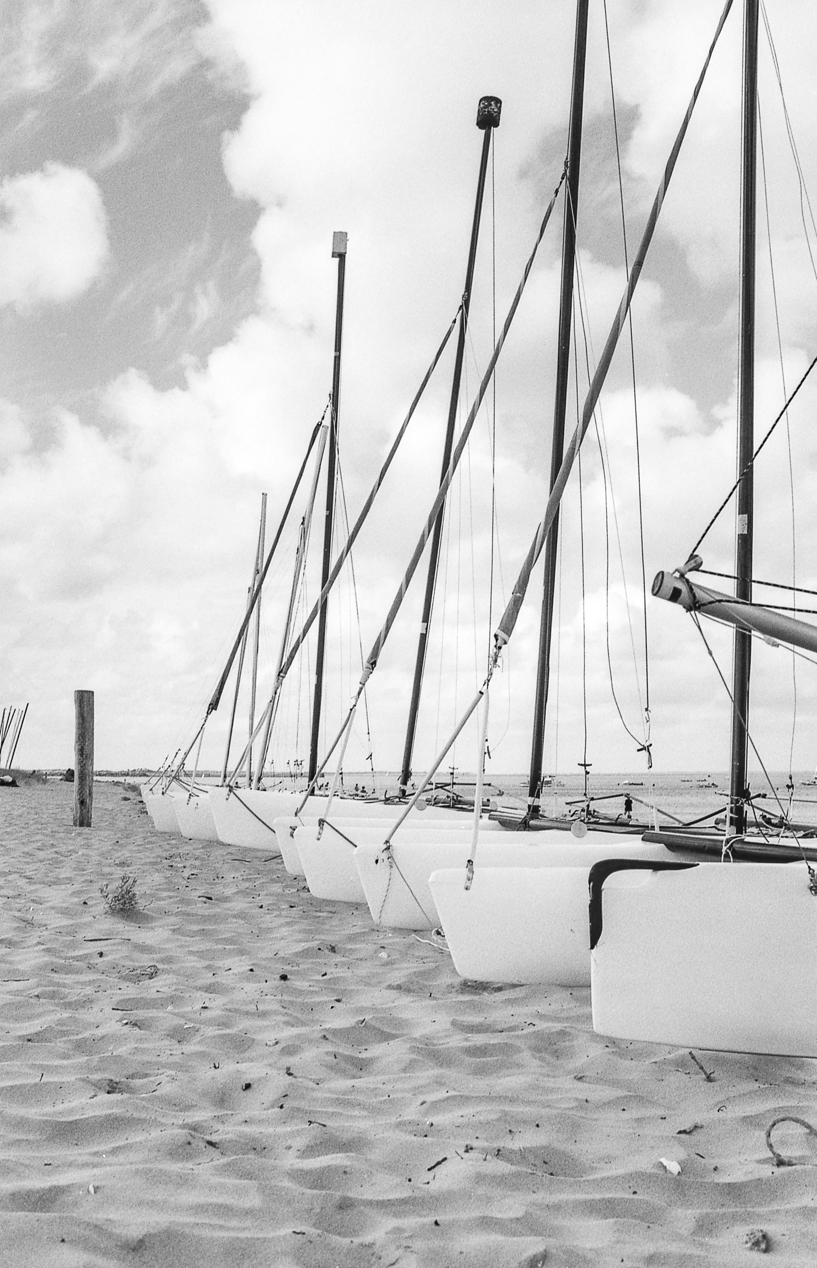 Row of sailboats on a sandy beach