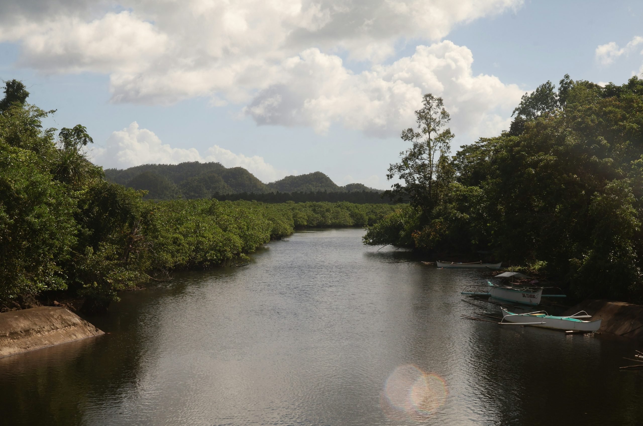 A tranquil river flows through a lush, tropical forest.