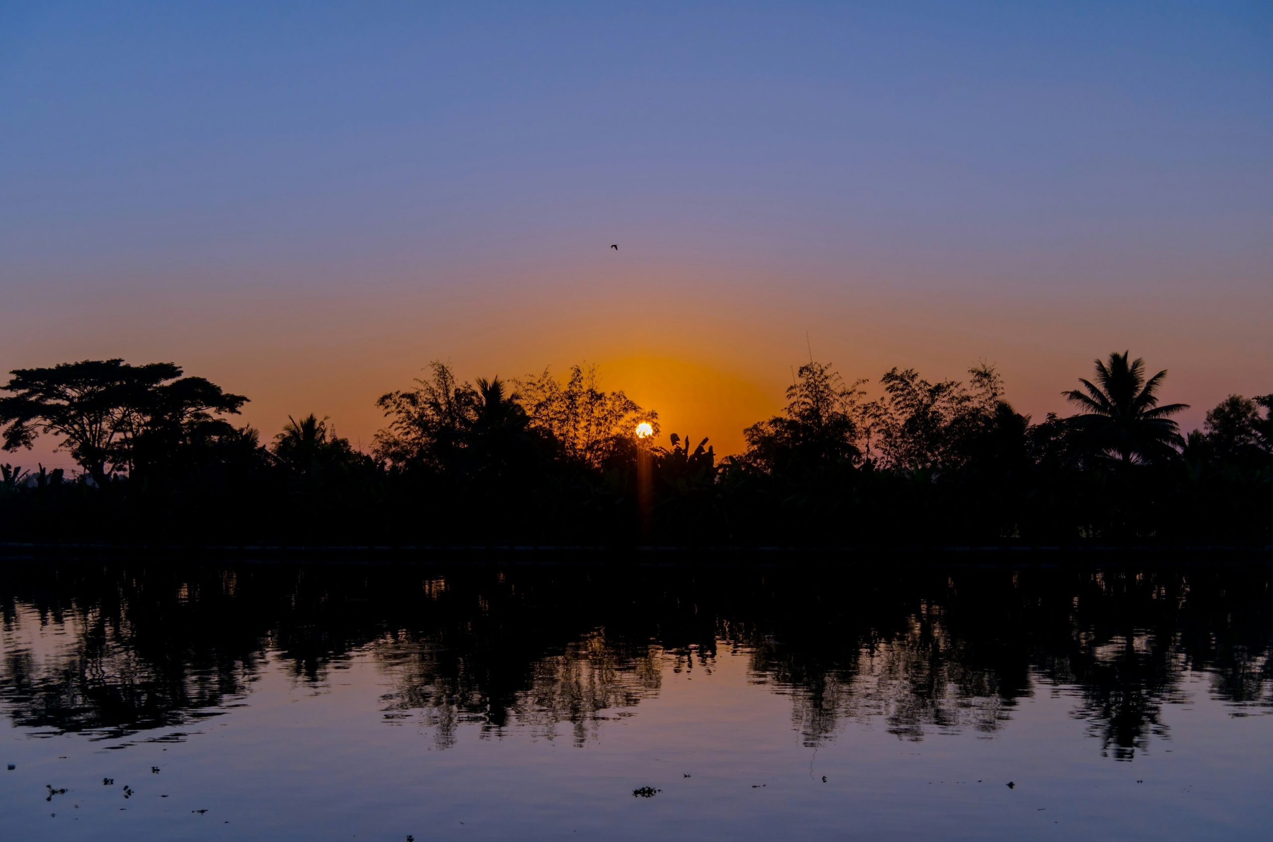 Sunset over a tranquil body of water with trees.