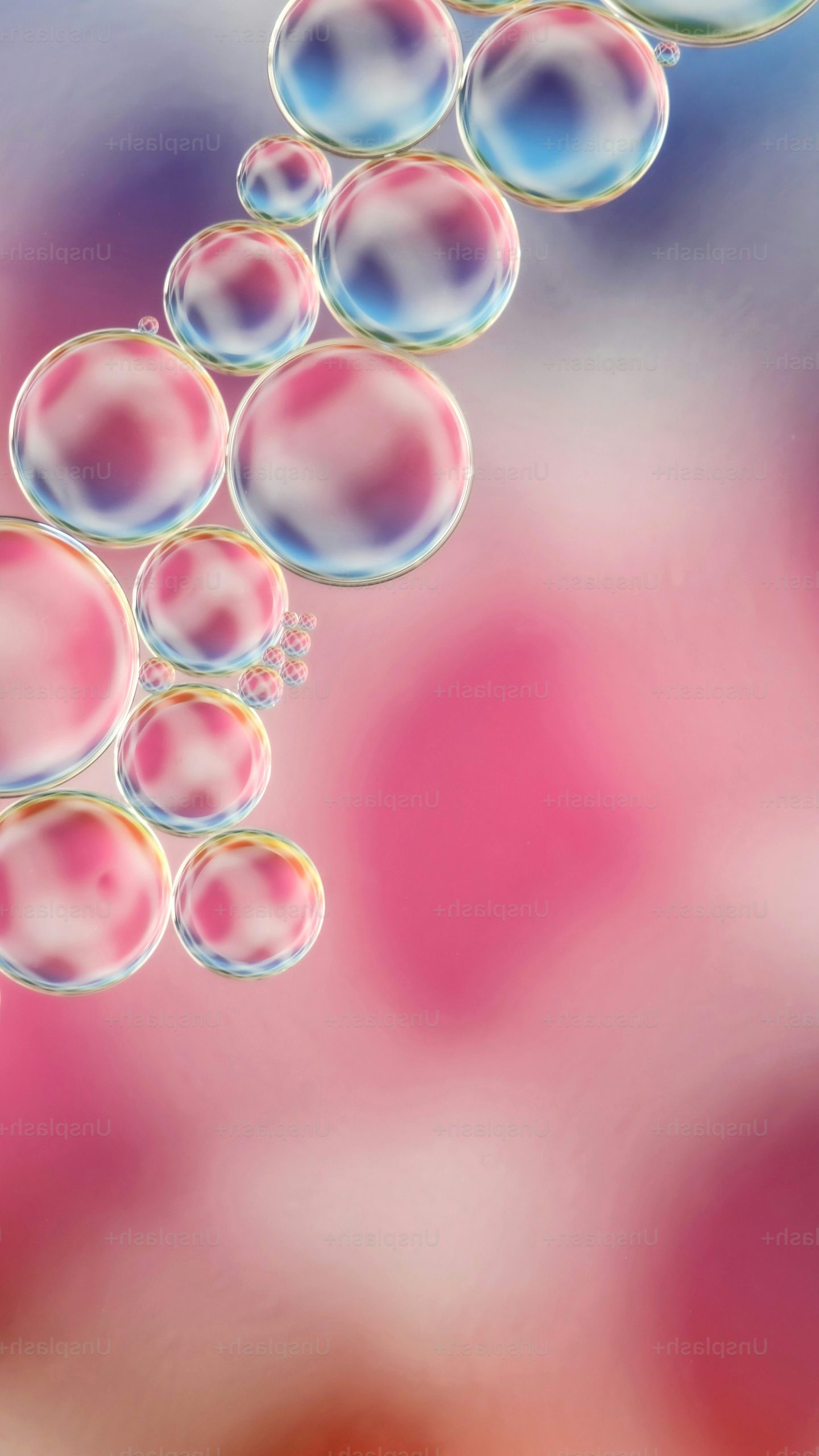 Abstract colorful bubbles floating on a pink background